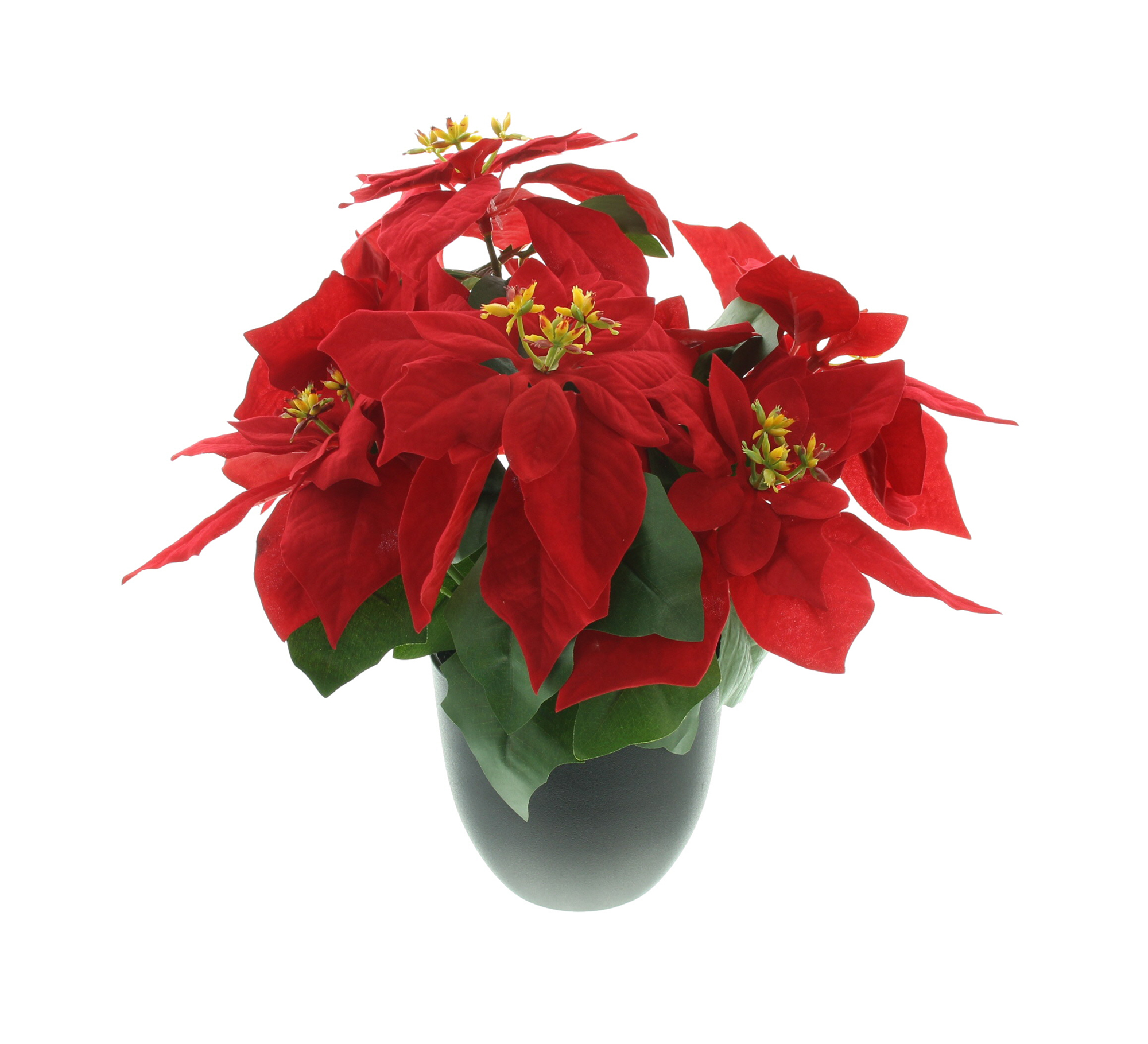 Acheter Fleur artificielle "grand poinsettia"  dans la boutique en ligne de Frank Flechtwaren pour Noël