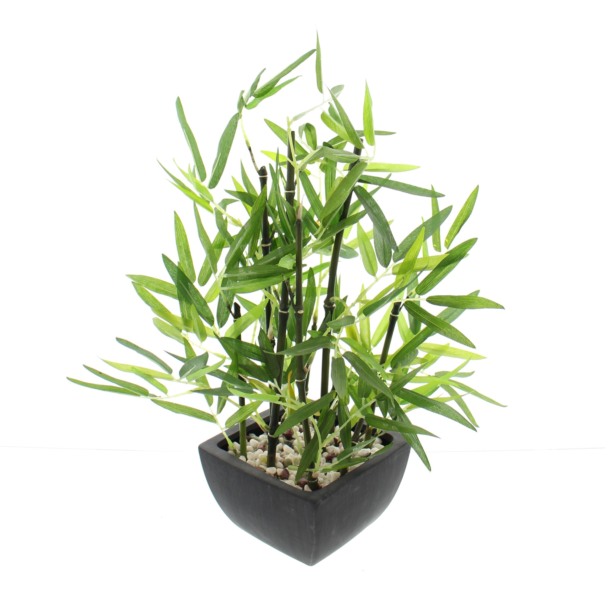 Acheter Bambou en pot  dans la boutique en ligne de Frank Flechtwaren pour Plantes artificielles