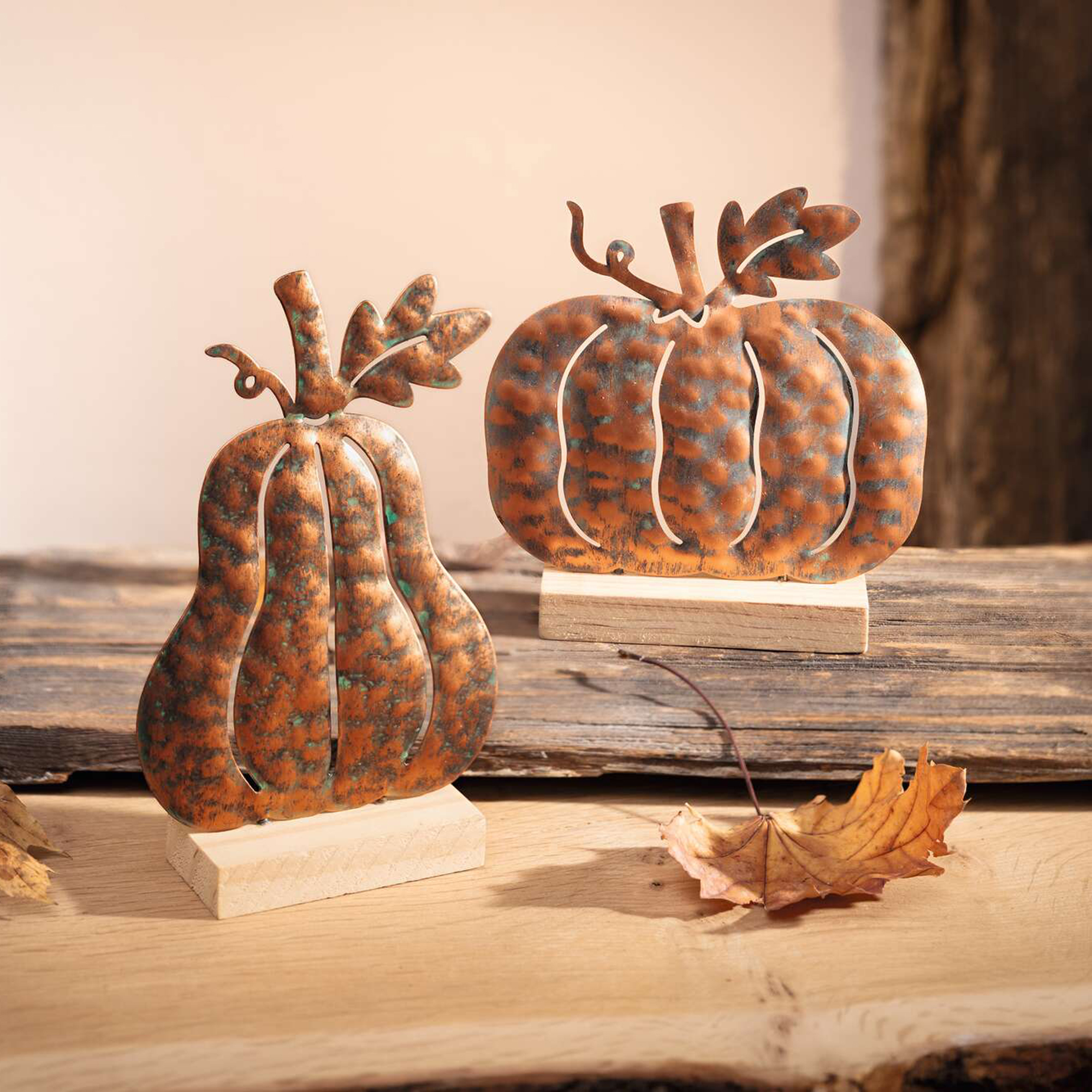 Acheter Lot de 2 citrouilles "métallique"  dans la boutique en ligne de Frank Flechtwaren pour Automne