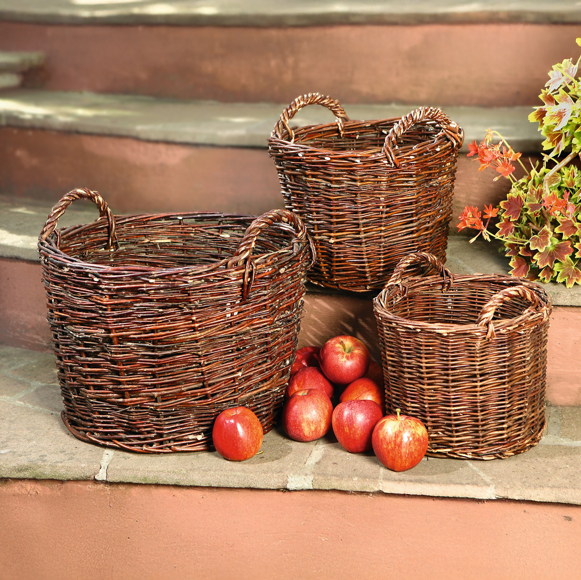 Acheter Corbeille "rustique", MM  dans la boutique en ligne de Frank Flechtwaren