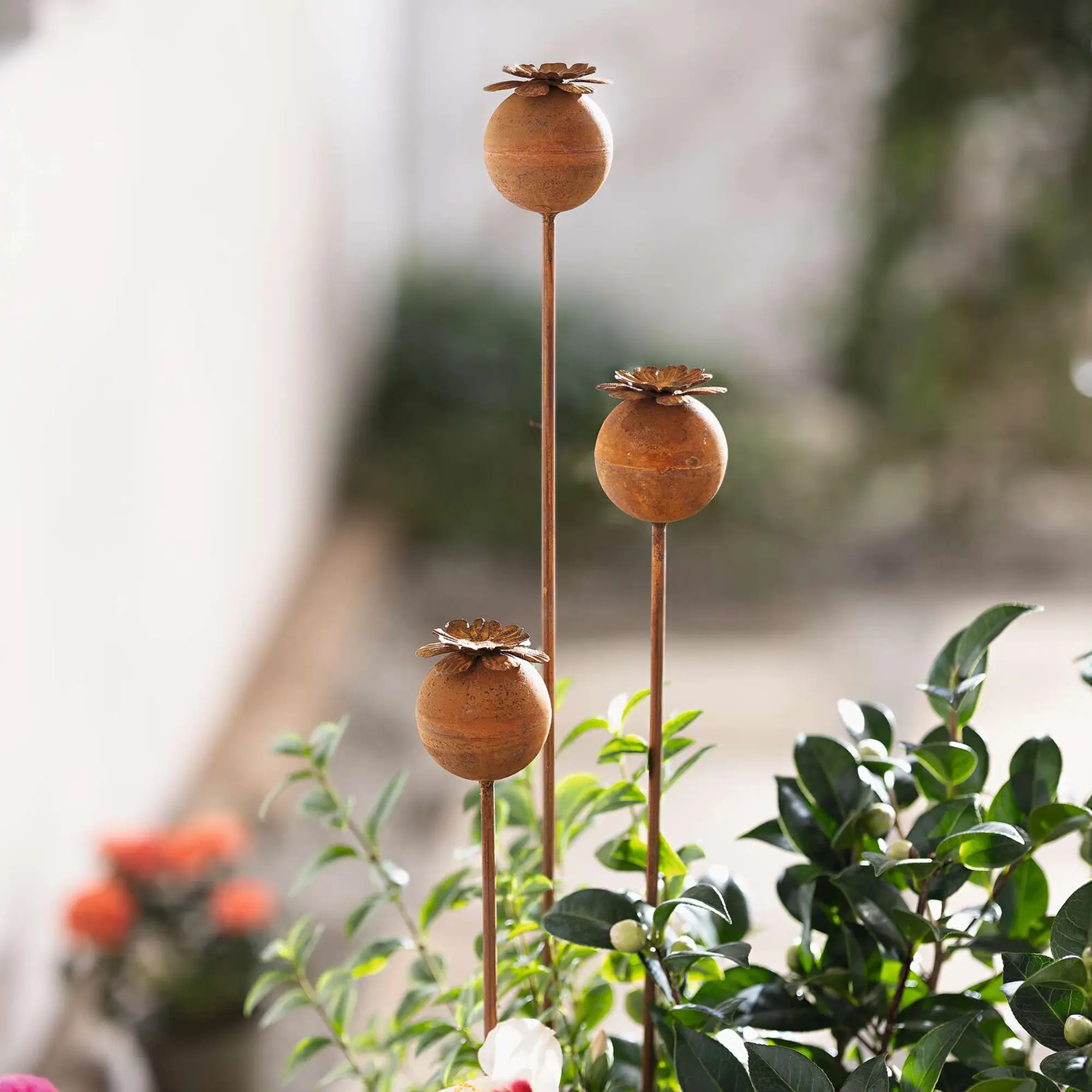 Acheter Lot de 3 pics de jardin "coquelicot"  dans la boutique en ligne de Frank Flechtwaren