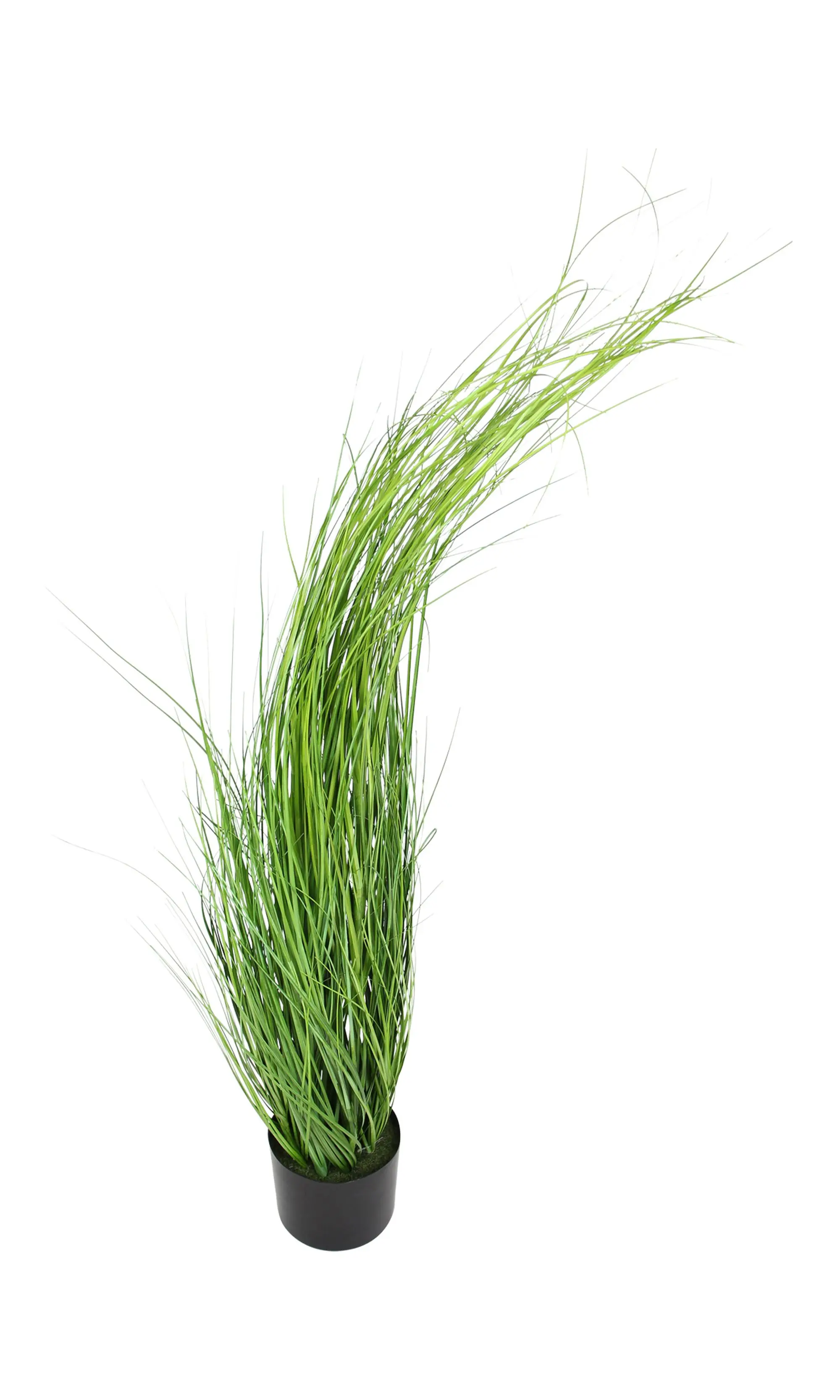 Acheter Plante "herbe" dans la boutique en ligne de Frank Flechtwaren pour Pâques Acheter Plante "herbe" dans la boutique en ligne de Frank Flechtwaren pour Pâques
