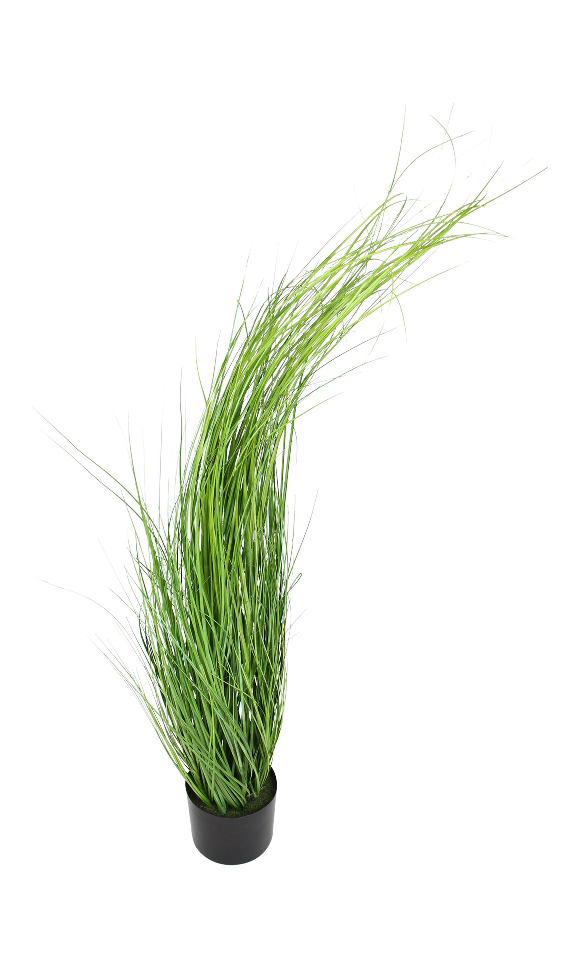 Acheter Plante "herbe"  dans la boutique en ligne de Frank Flechtwaren pour Pâques