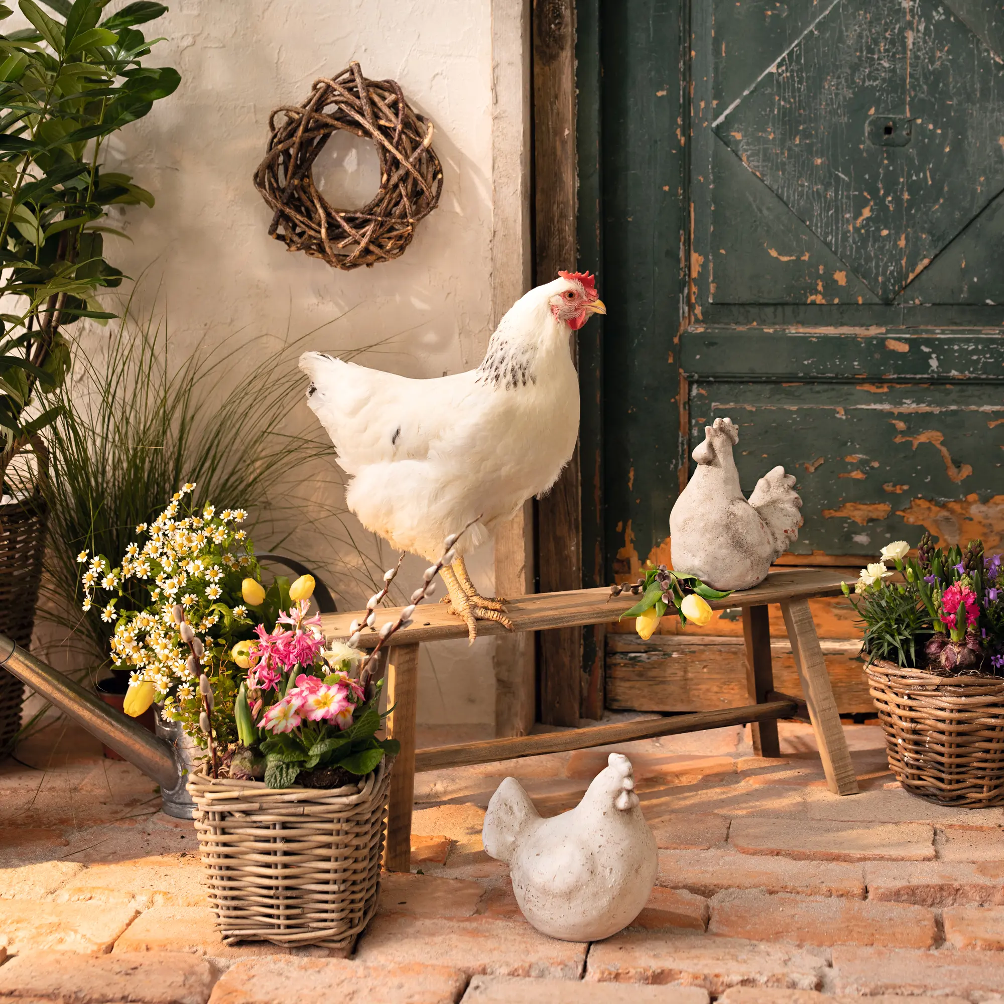 Acheter Lot de 2 figurines "poule et coq"  dans la boutique en ligne de Frank Flechtwaren pour Pâques