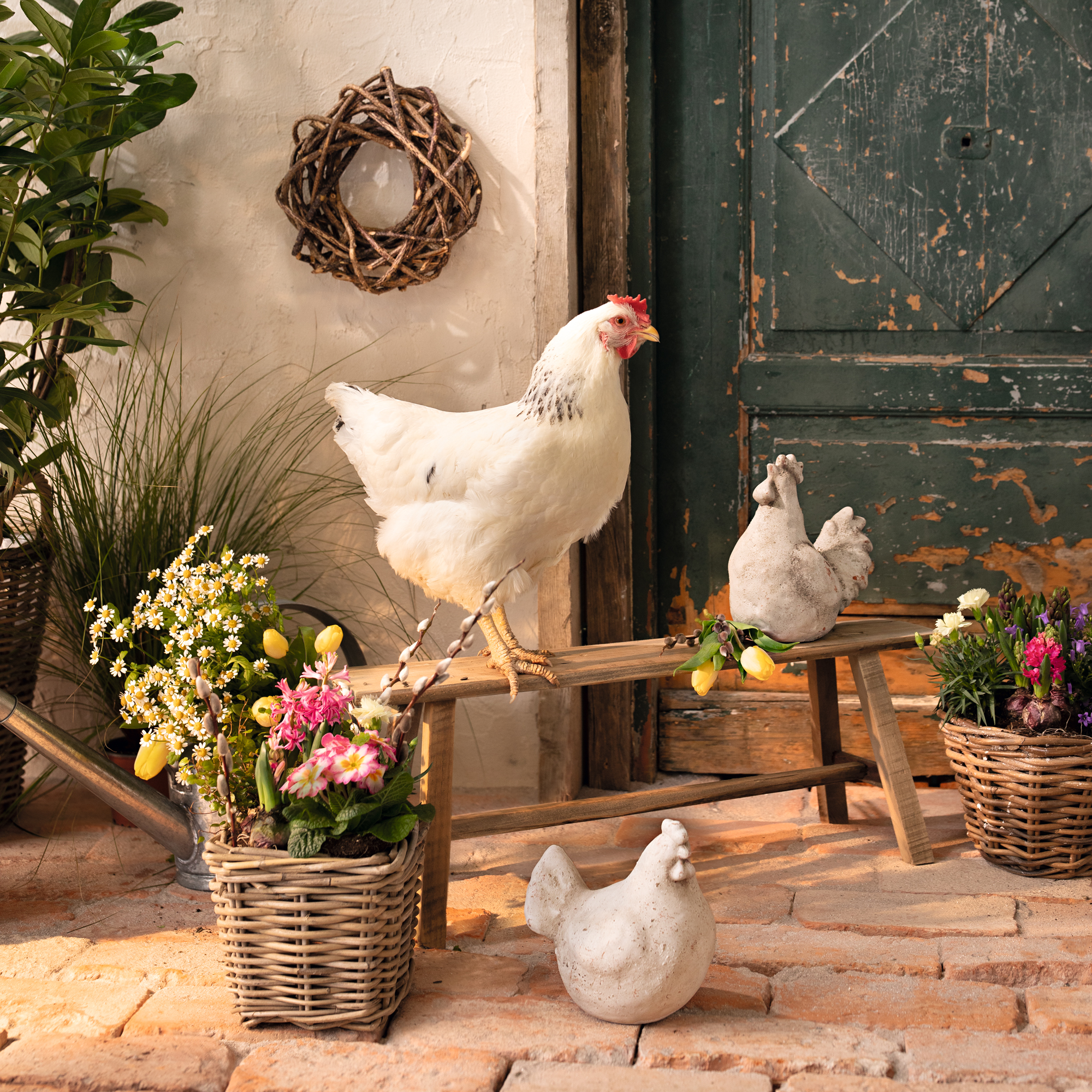 Acheter Lot de 2 figurines "poule et coq" dans la boutique en ligne de Frank Flechtwaren pour Pâques Acheter Lot de 2 figurines "poule et coq" dans la boutique en ligne de Frank Flechtwaren pour Pâques