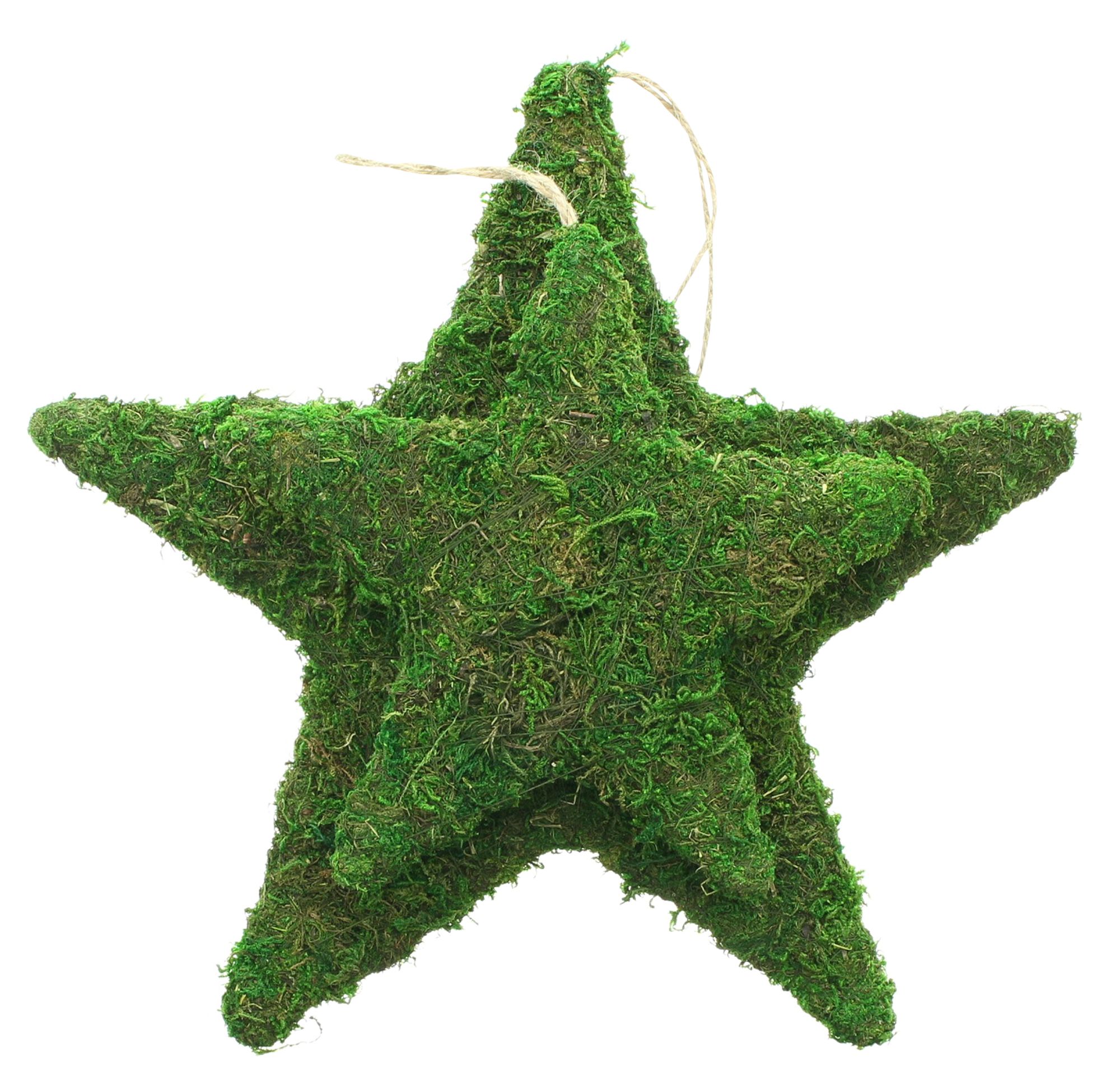 Acheter Lot de 2 étoiles "mousse"  dans la boutique en ligne de Frank Flechtwaren pour Noël