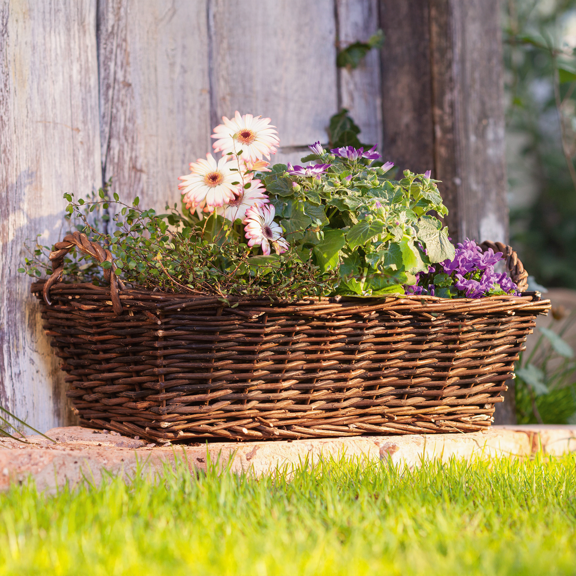 Acheter Panier à plantes, rectangulaire  dans la boutique en ligne de Frank Flechtwaren pour Jardinières corbeilles