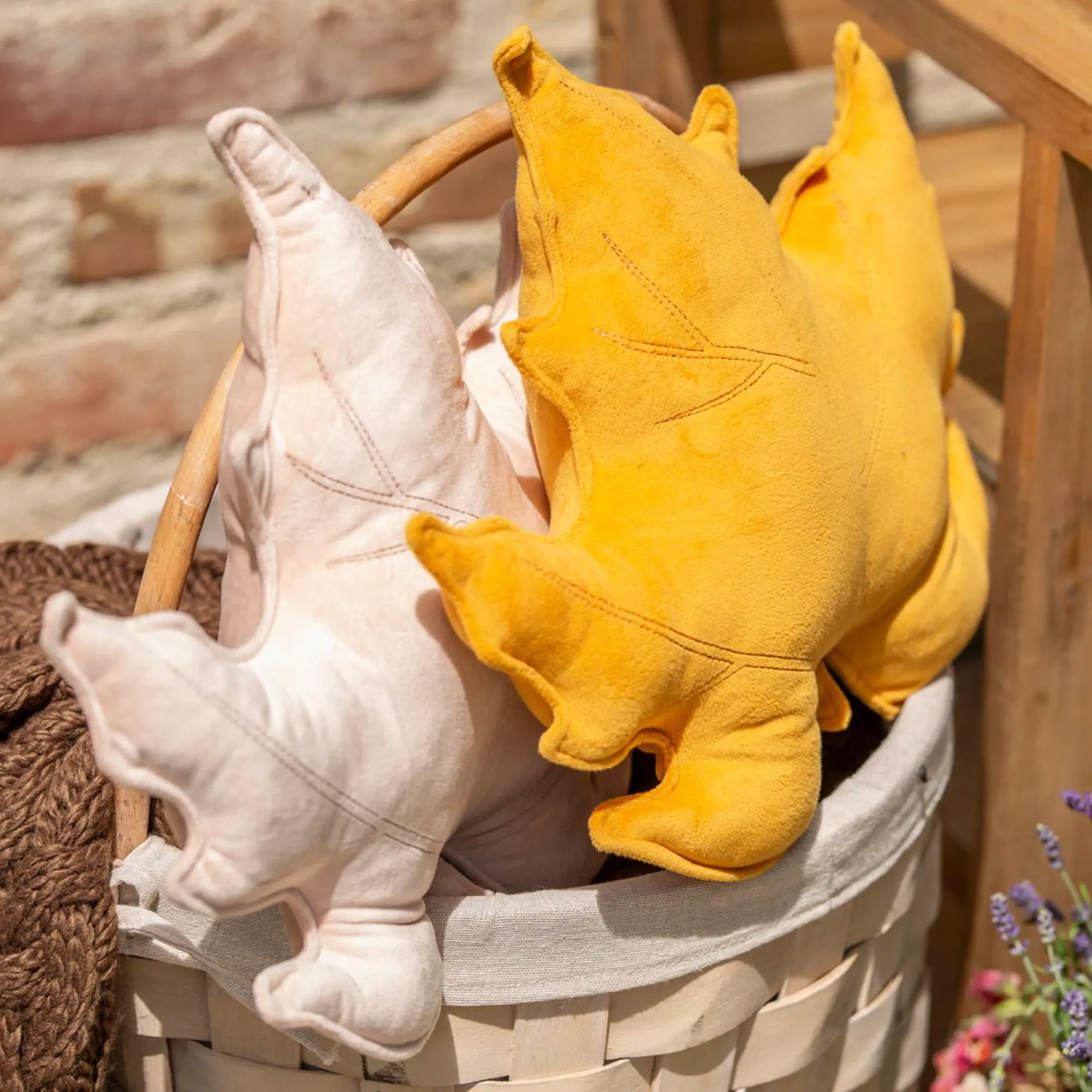 Acheter Coussins décoratifs « Ahorn », lot de 2 dans la boutique en ligne de Frank Flechtwaren pour Promenade en forêt