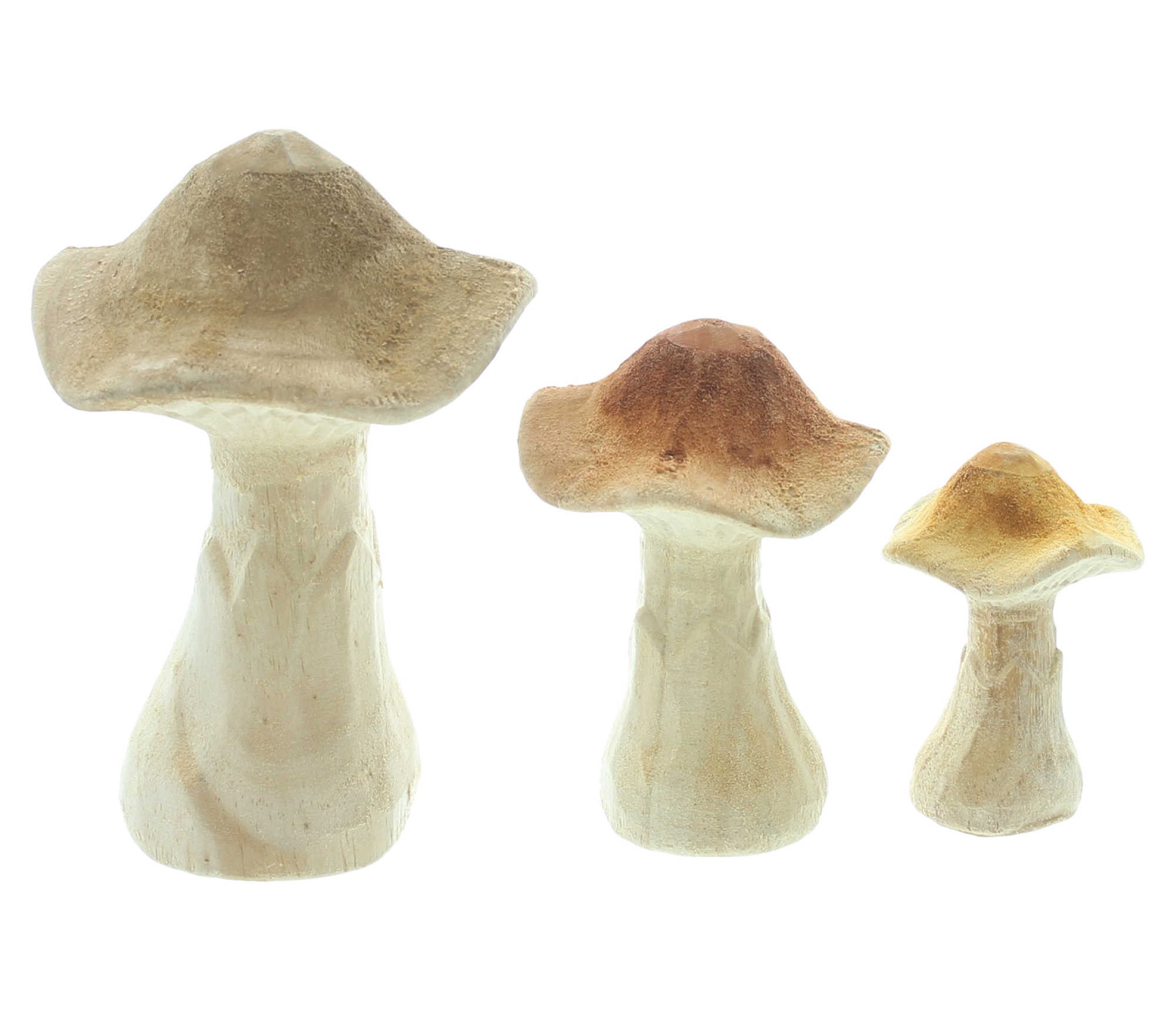Acheter Lot de 3 champignons "naturels"  dans la boutique en ligne de Frank Flechtwaren pour Série titre automne/hiver