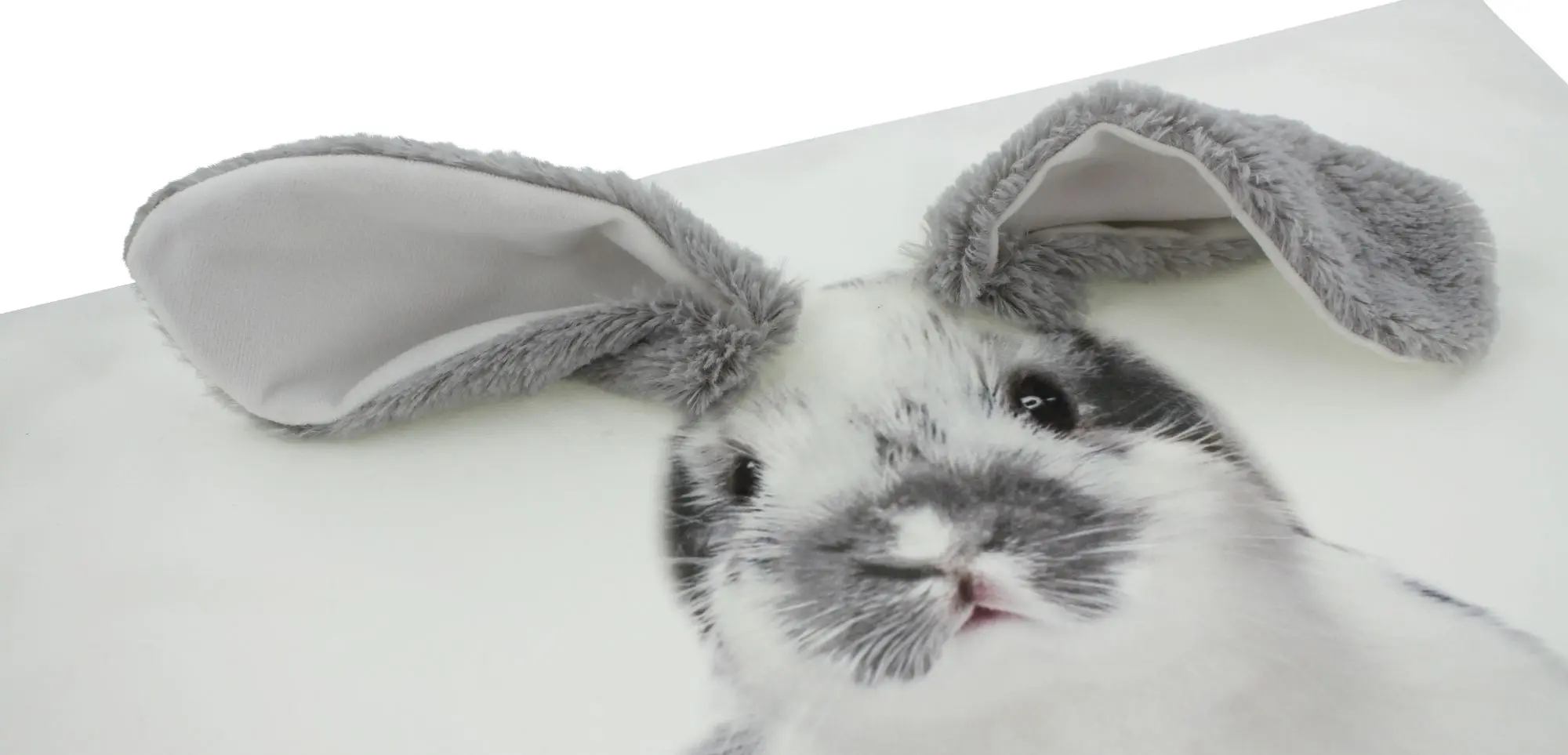 Acheter Housse de coussin "oreilles de lapin"  dans la boutique en ligne de Frank Flechtwaren pour Pâques