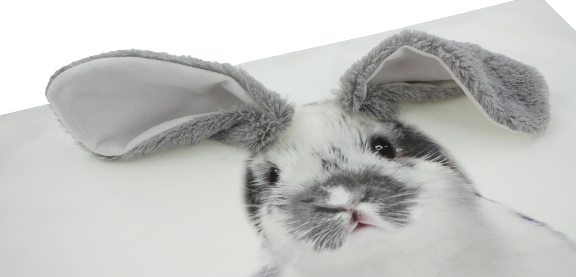 Acheter Housse de coussin "oreilles de lapin"  dans la boutique en ligne de Frank Flechtwaren pour Pâques