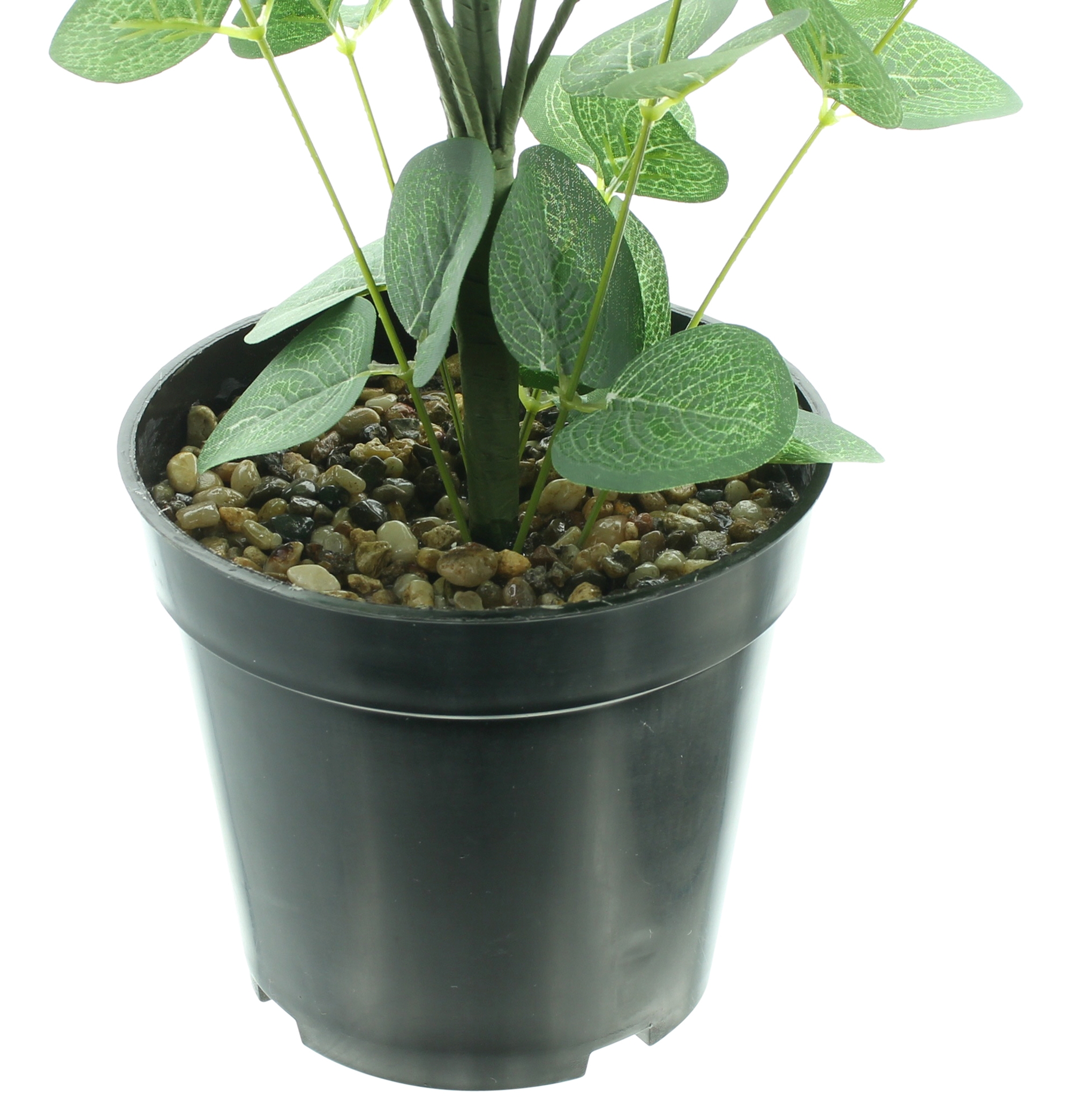 Acheter Plante en pot "eucalyptus" dans la boutique en ligne de Frank Flechtwaren pour Pâques Acheter Plante en pot "eucalyptus" dans la boutique en ligne de Frank Flechtwaren pour Pâques