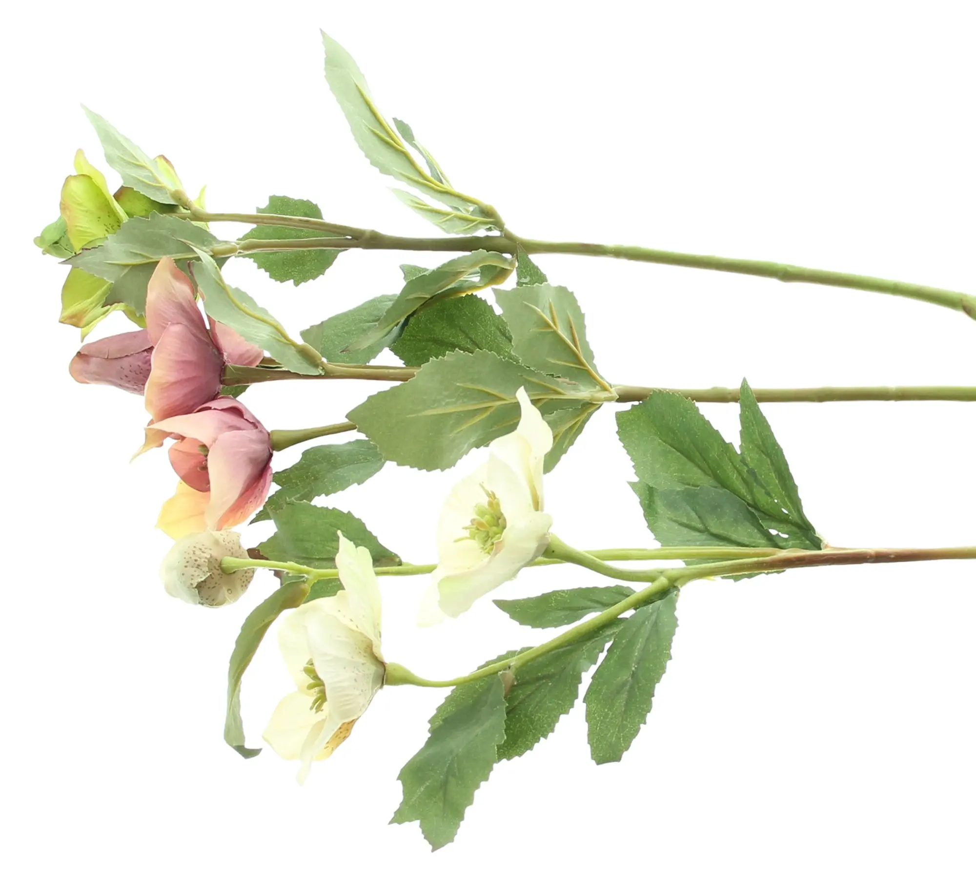 Acheter Lot de 3 fleurs artificielles "rose de Noël"  dans la boutique en ligne de Frank Flechtwaren pour 
