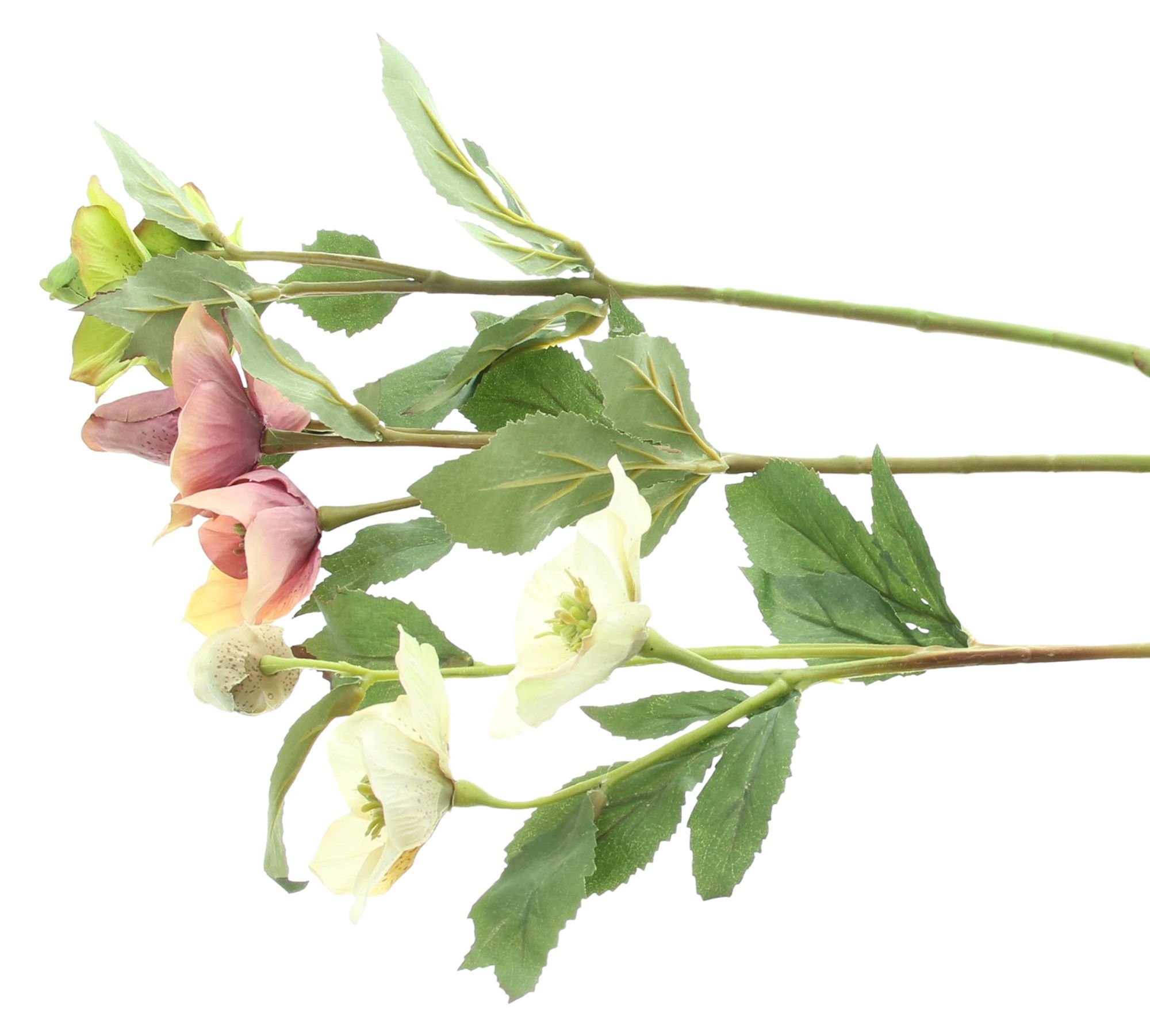 Acheter Lot de 3 fleurs artificielles "rose de Noël"  dans la boutique en ligne de Frank Flechtwaren pour Noël