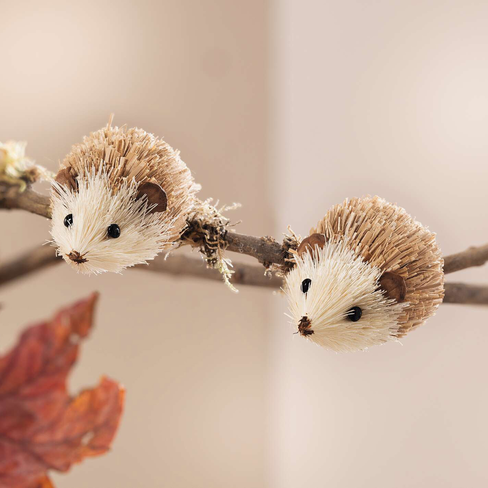 Acheter Lot de 2 clips "petit hérisson"  dans la boutique en ligne de Frank Flechtwaren pour Figurines décoratives