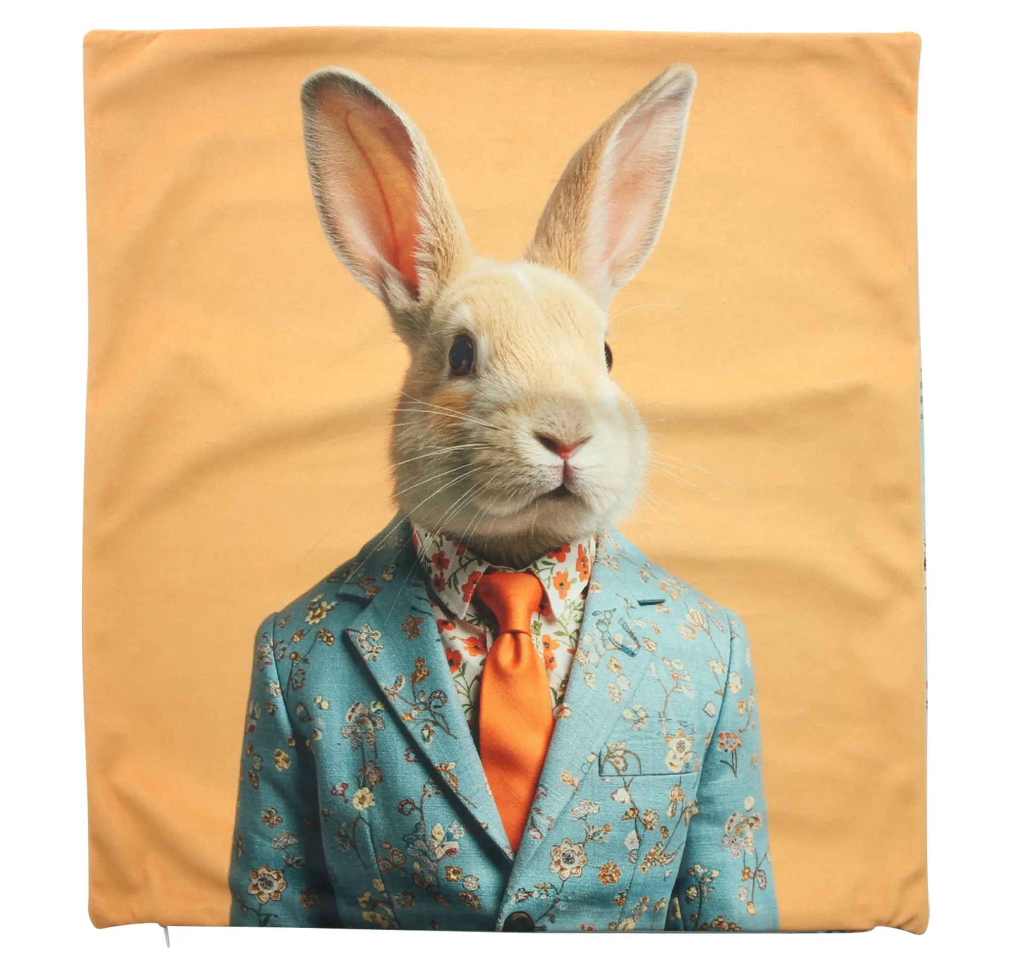 Acheter Housse de coussin "Mr.Rabbit"  dans la boutique en ligne de Frank Flechtwaren pour Coussins &amp; remplissages