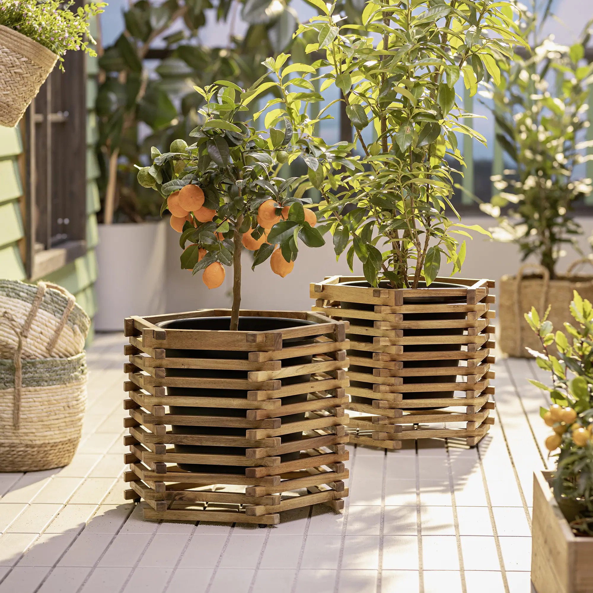Acheter Cache-pot hexagonal "acacia"  dans la boutique en ligne de Frank Flechtwaren pour Jardinières