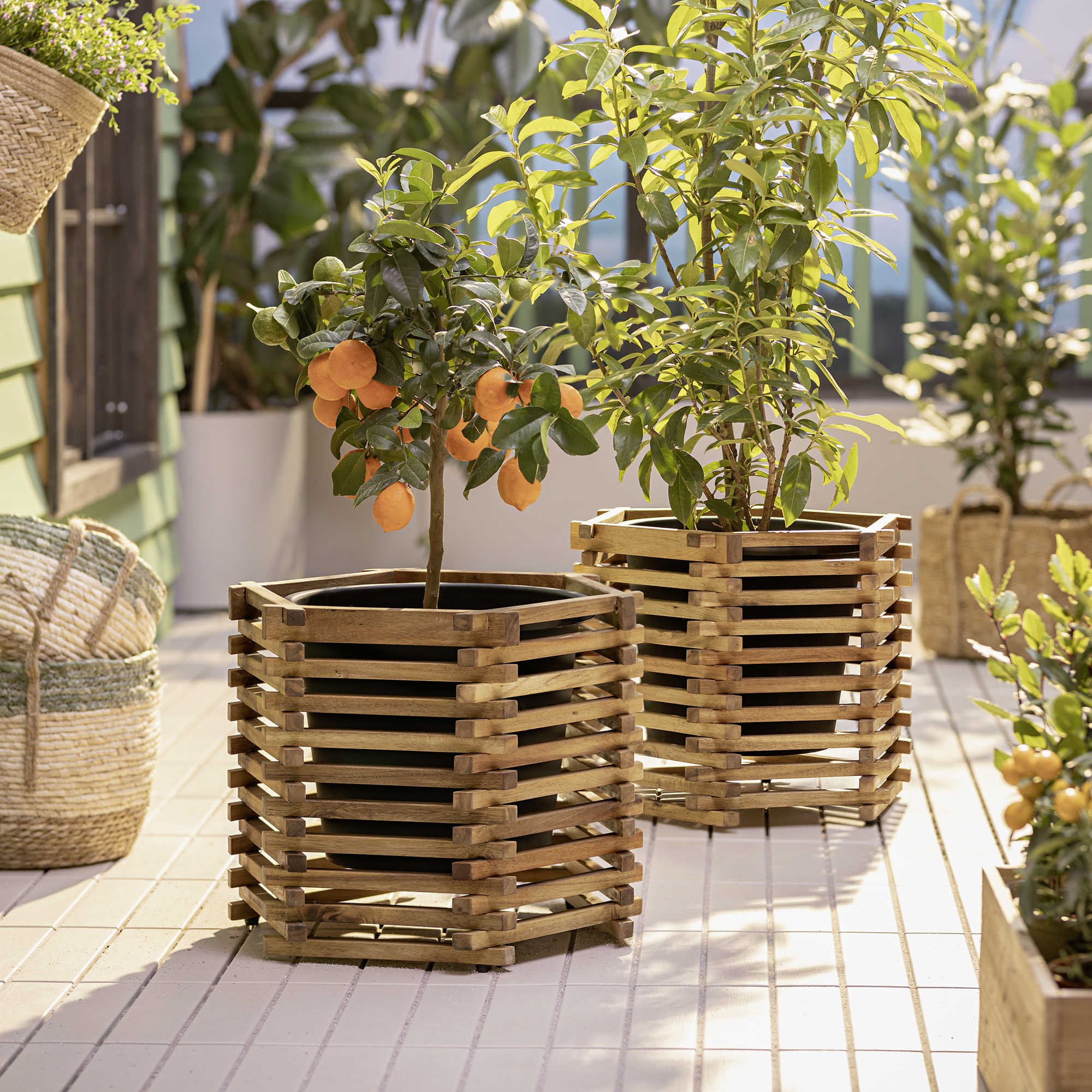 Acheter Cache-pot hexagonal "acacia"  dans la boutique en ligne de Frank Flechtwaren