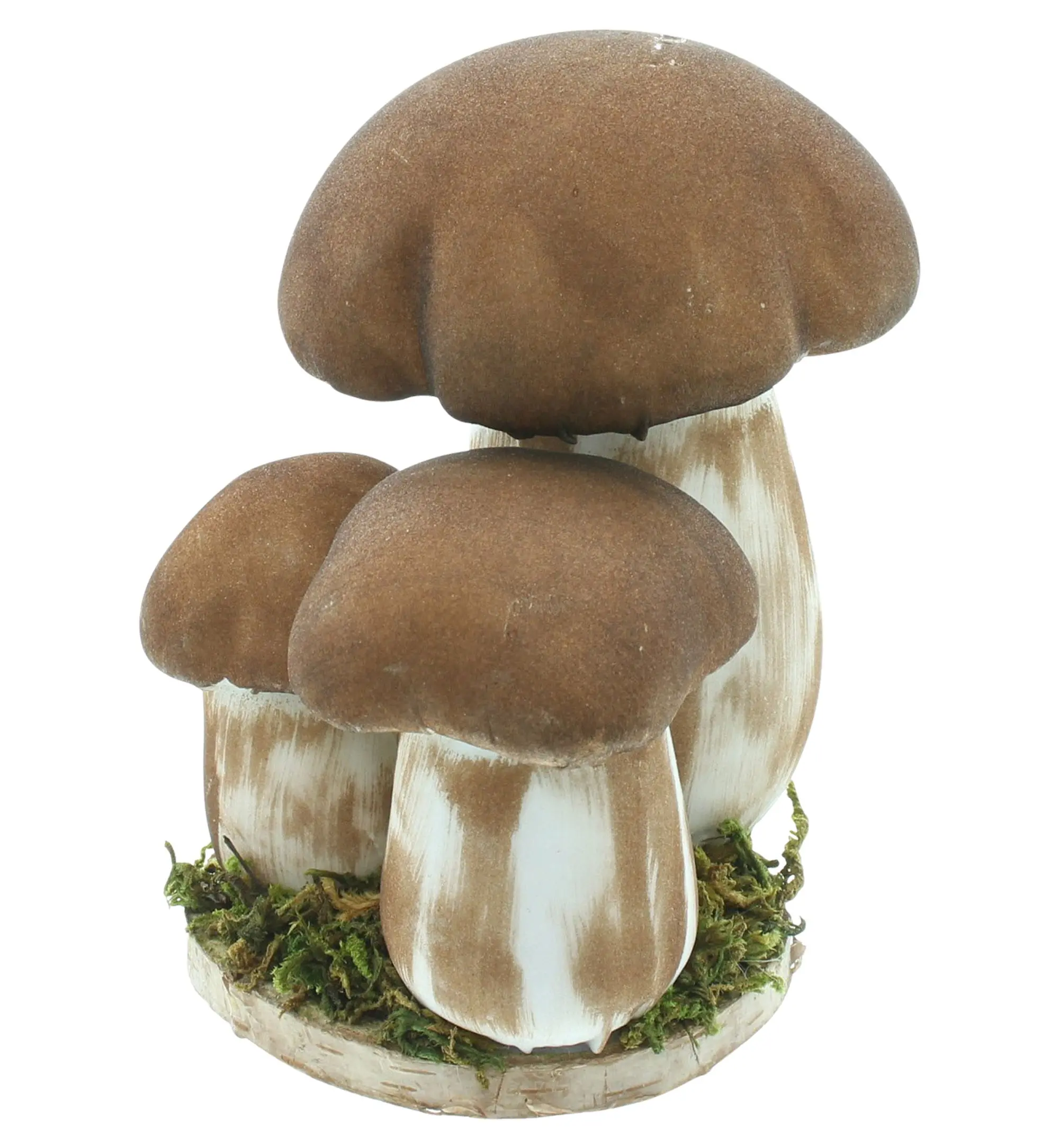 Acheter Cèpes "trio"  dans la boutique en ligne de Frank Flechtwaren pour Champignons