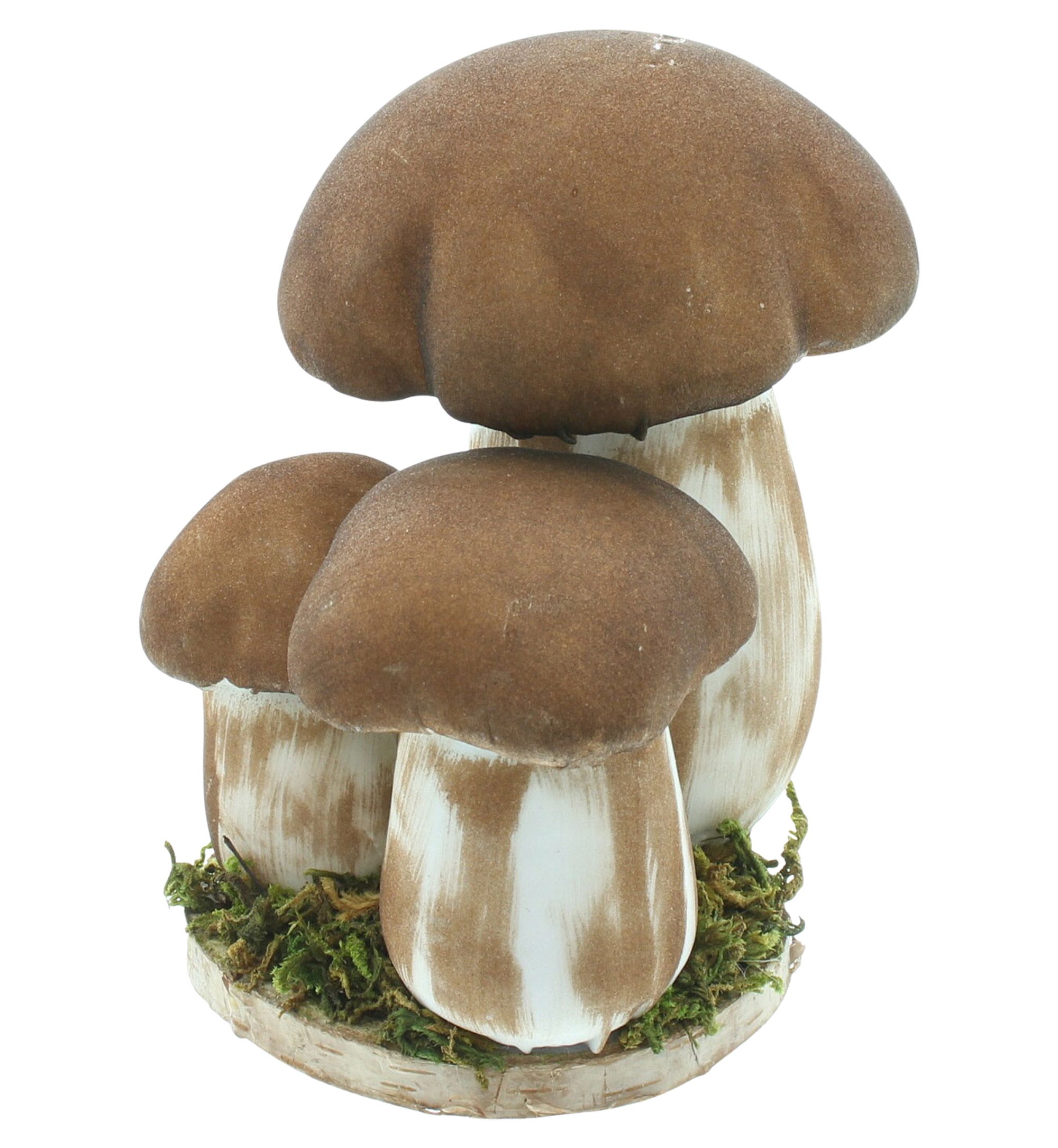 Acheter Cèpes "trio"  dans la boutique en ligne de Frank Flechtwaren pour Automne