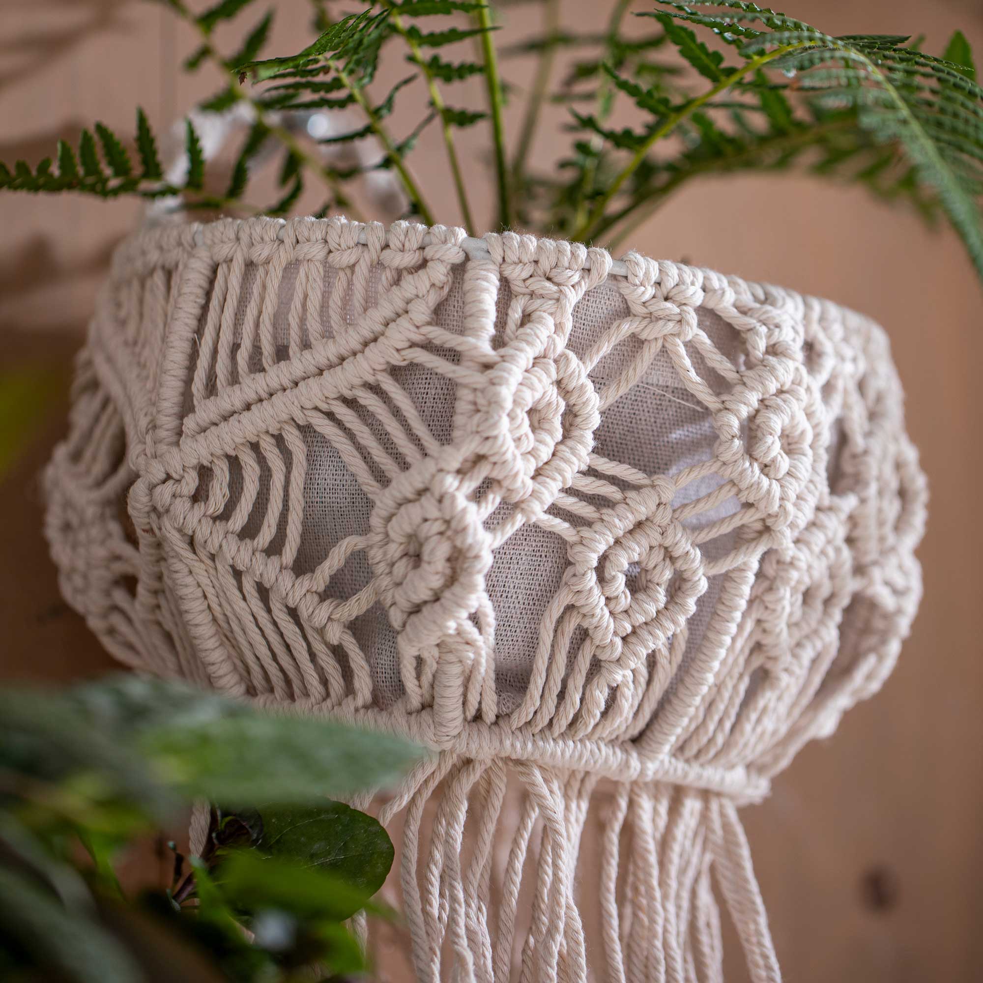 Acheter Lot de 2 paniers muraux "macramé" dans la boutique en ligne de Frank Flechtwaren pour Look décontracté Acheter Lot de 2 paniers muraux "macramé" dans la boutique en ligne de Frank Flechtwaren pour Look décontracté