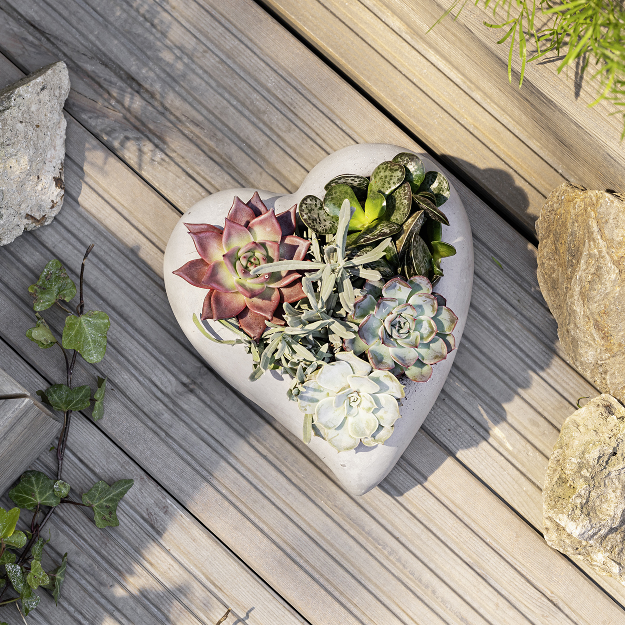 Acheter Jardinière "ciment"  dans la boutique en ligne de Frank Flechtwaren pour Pots de fleurs