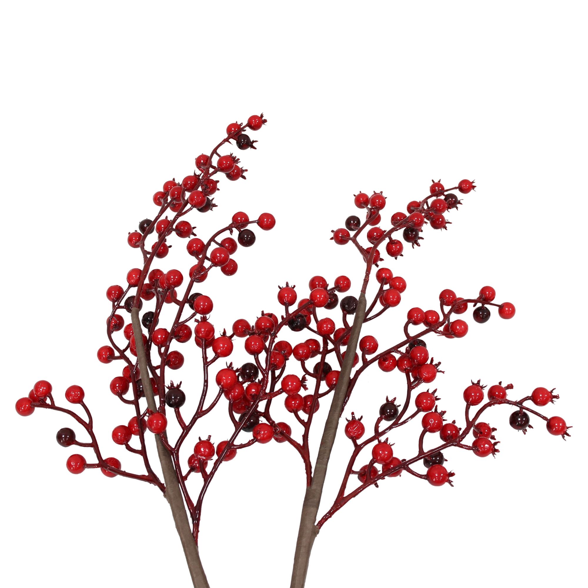 Acheter Branche décorative « Baies rouges », lot de 2 dans la boutique en ligne de Frank Flechtwaren pour Couronnes et bouquets