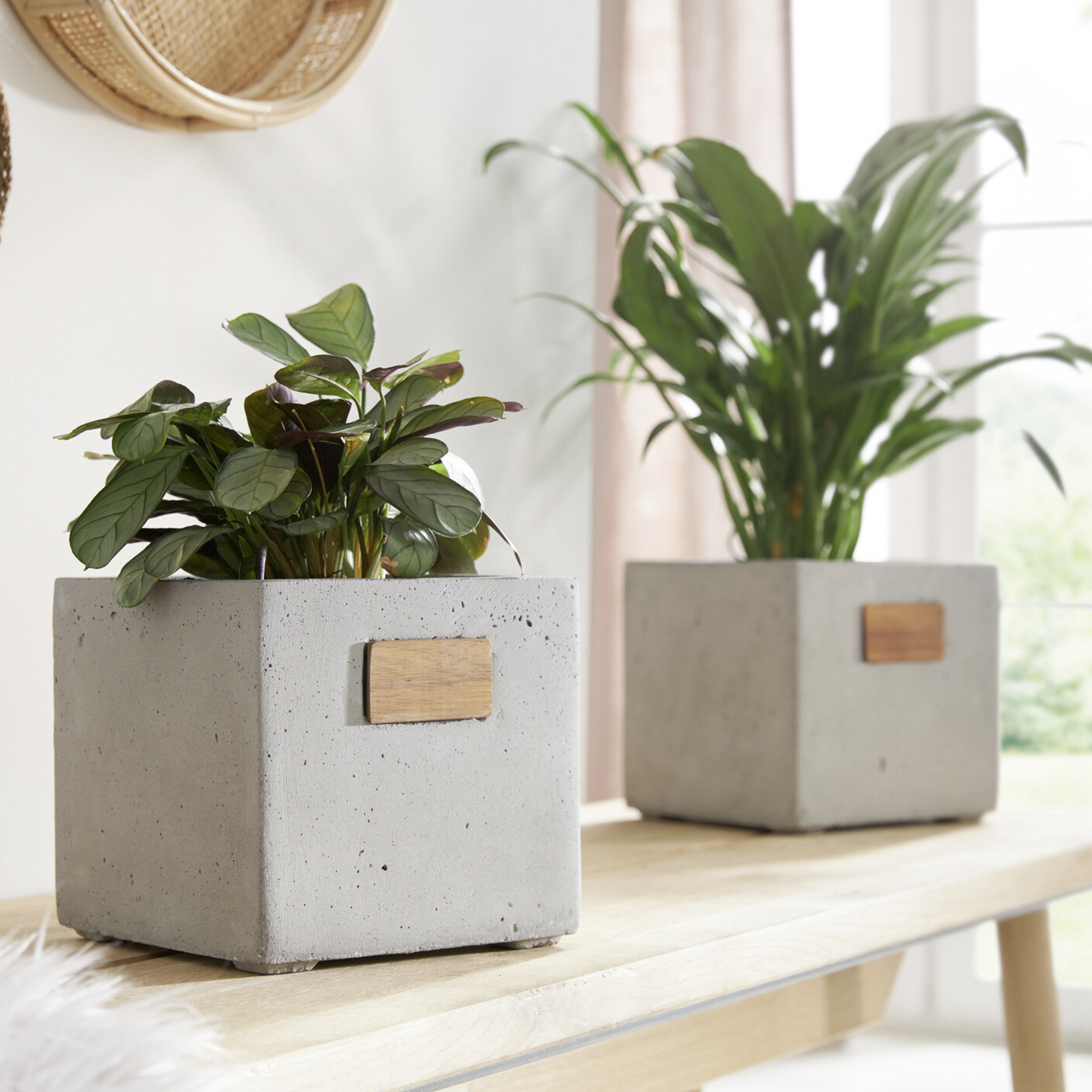 Acheter Cache-pot "cube"  dans la boutique en ligne de Frank Flechtwaren