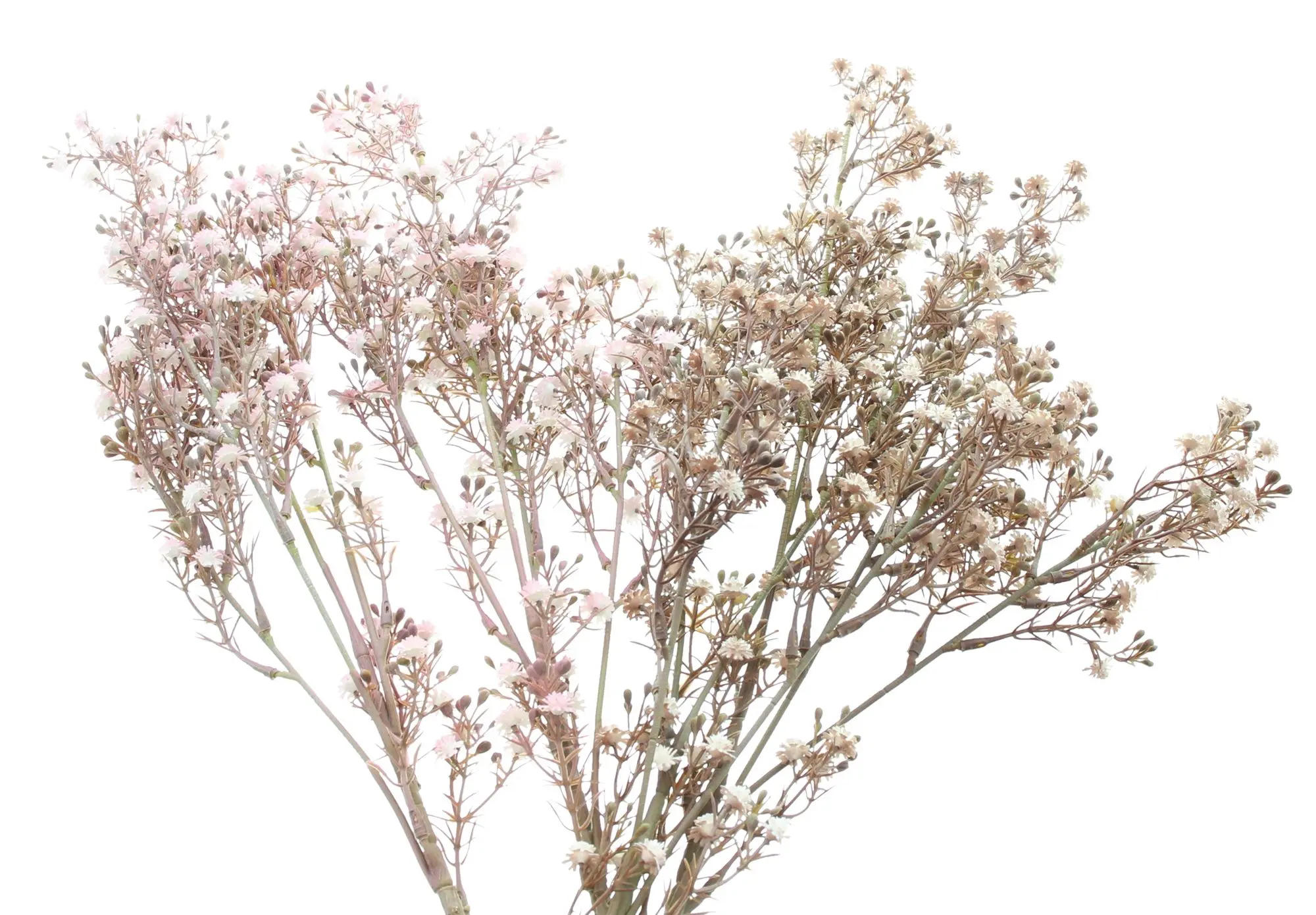 Acheter Lot de 2 plantes artificielles "Gypsophile" dans la boutique en ligne de Frank Flechtwaren pour Plantes artificielles Acheter Lot de 2 plantes artificielles "Gypsophile" dans la boutique en ligne de Frank Flechtwaren pour Plantes artificielles