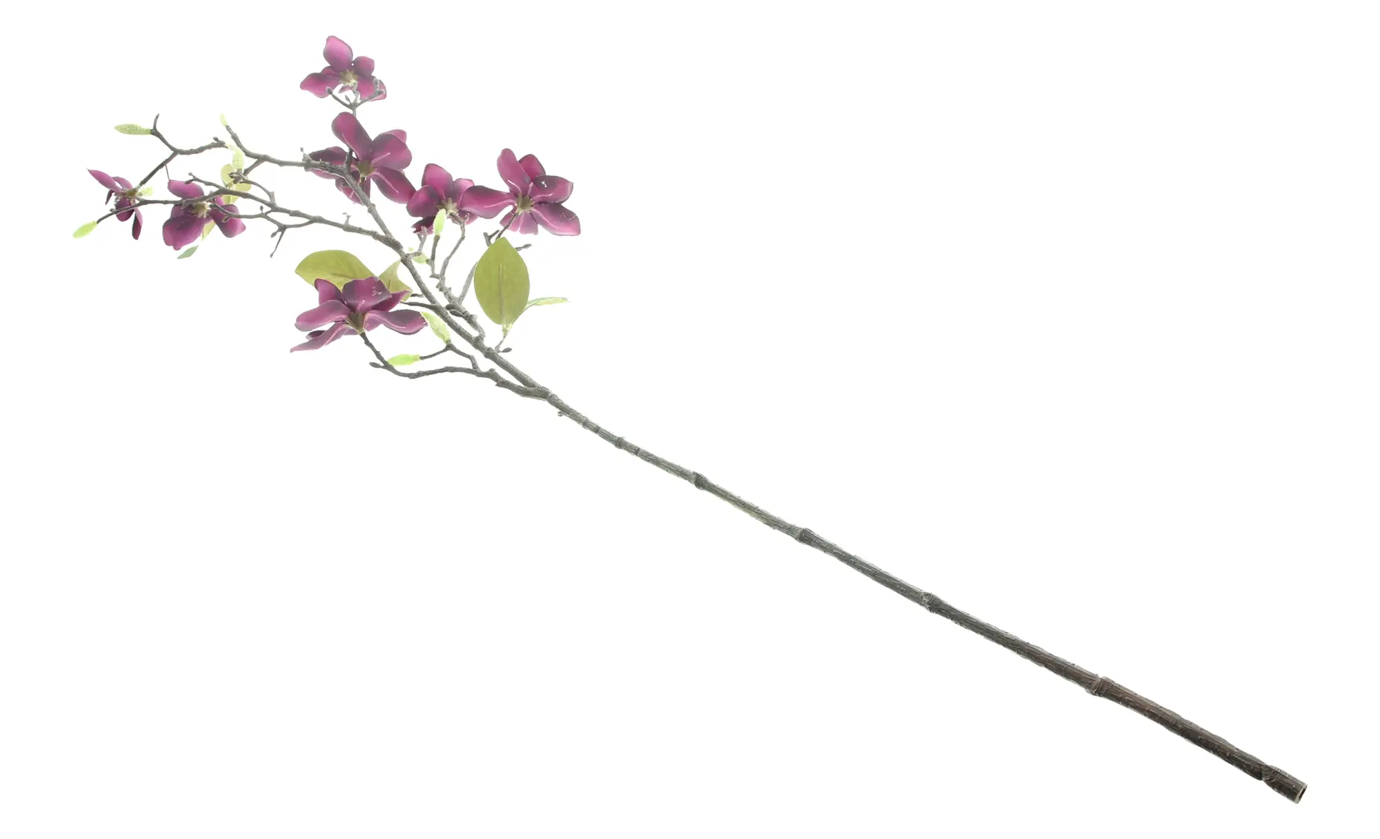 Acheter Fleur artificielle "branche de magnolia"  dans la boutique en ligne de Frank Flechtwaren pour Plantes artificielles