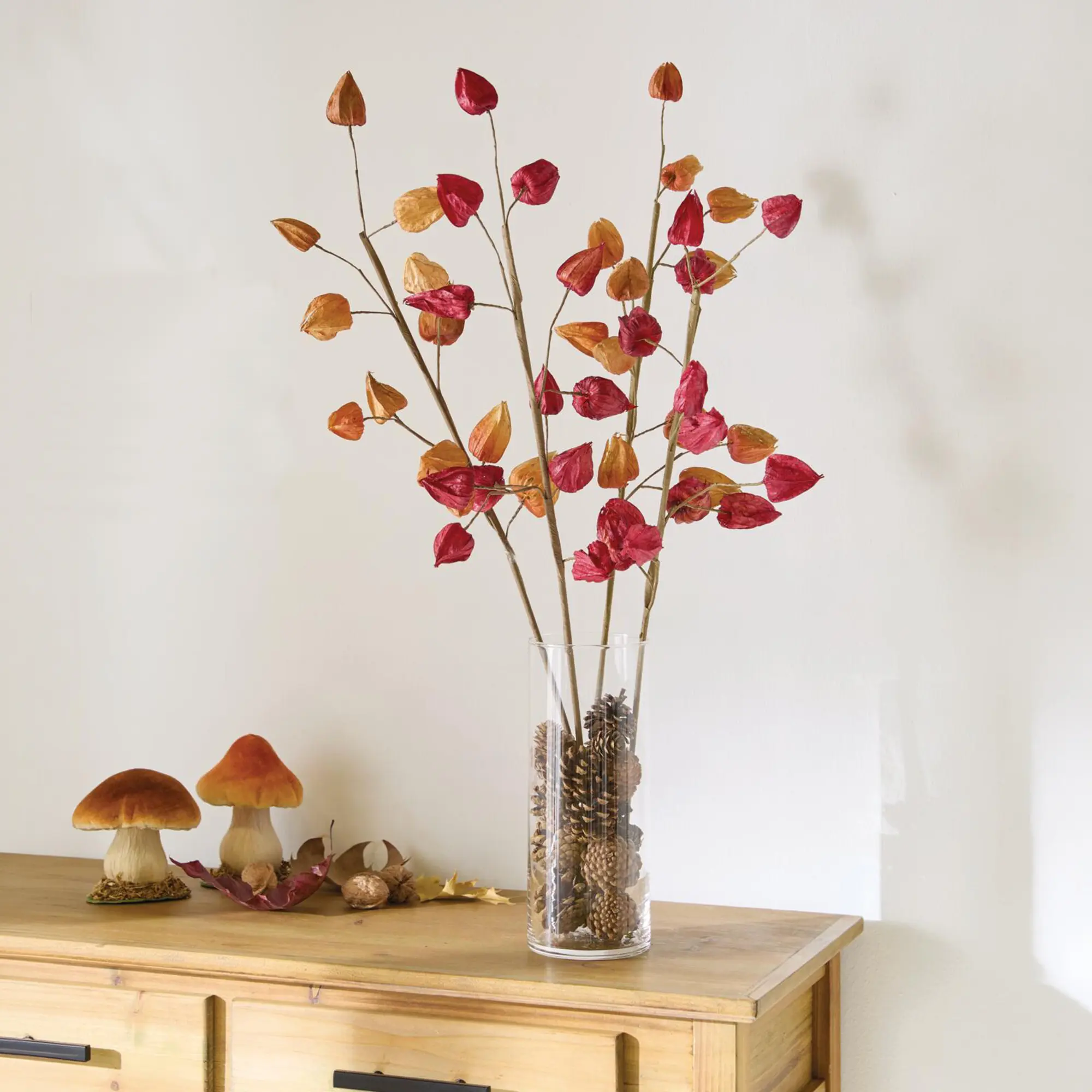 Acheter Branche décorative « Physalis », lot de 2 dans la boutique en ligne de Frank Flechtwaren pour Promenade en forêt