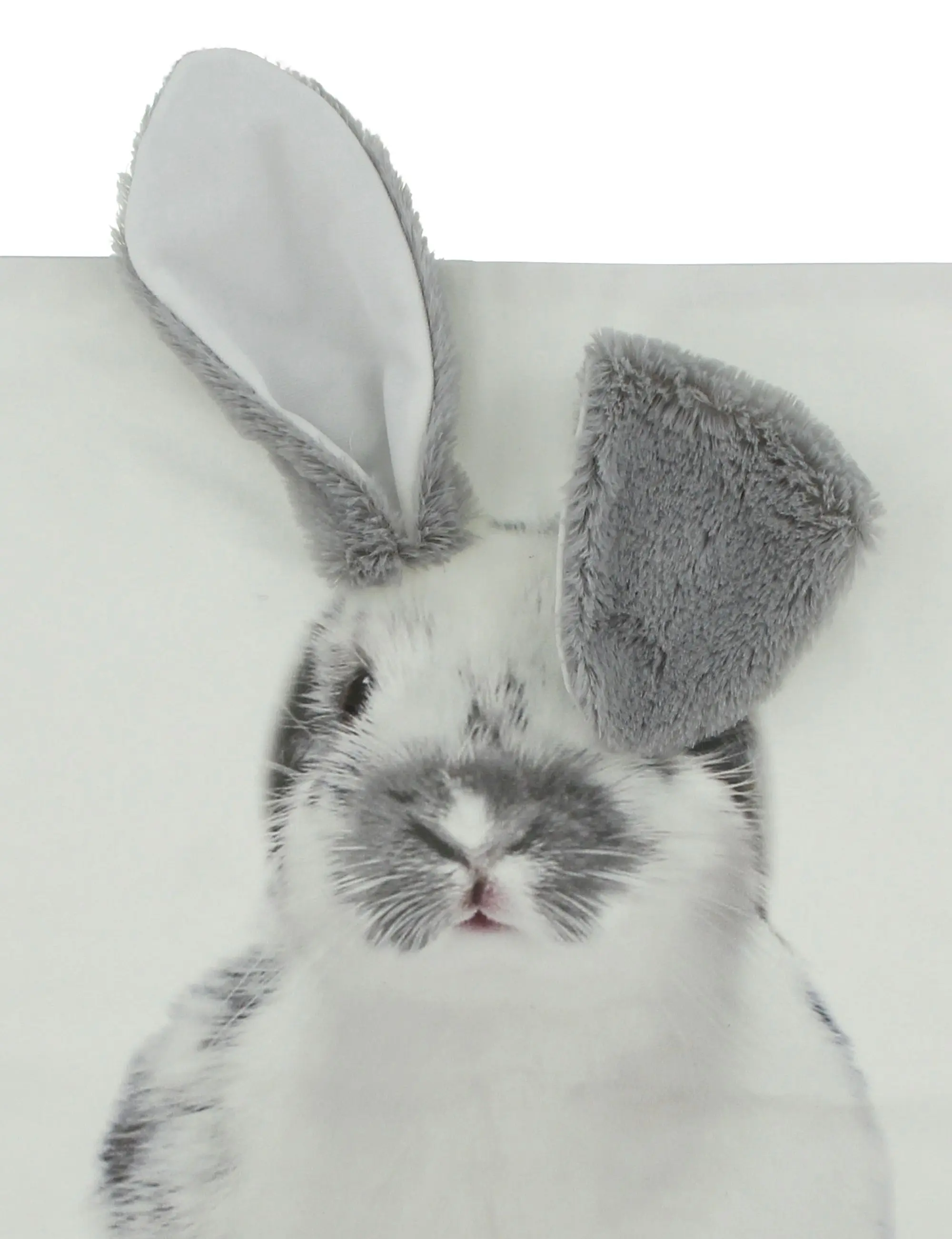 Acheter Housse de coussin "oreilles de lapin"  dans la boutique en ligne de Frank Flechtwaren pour Pâques