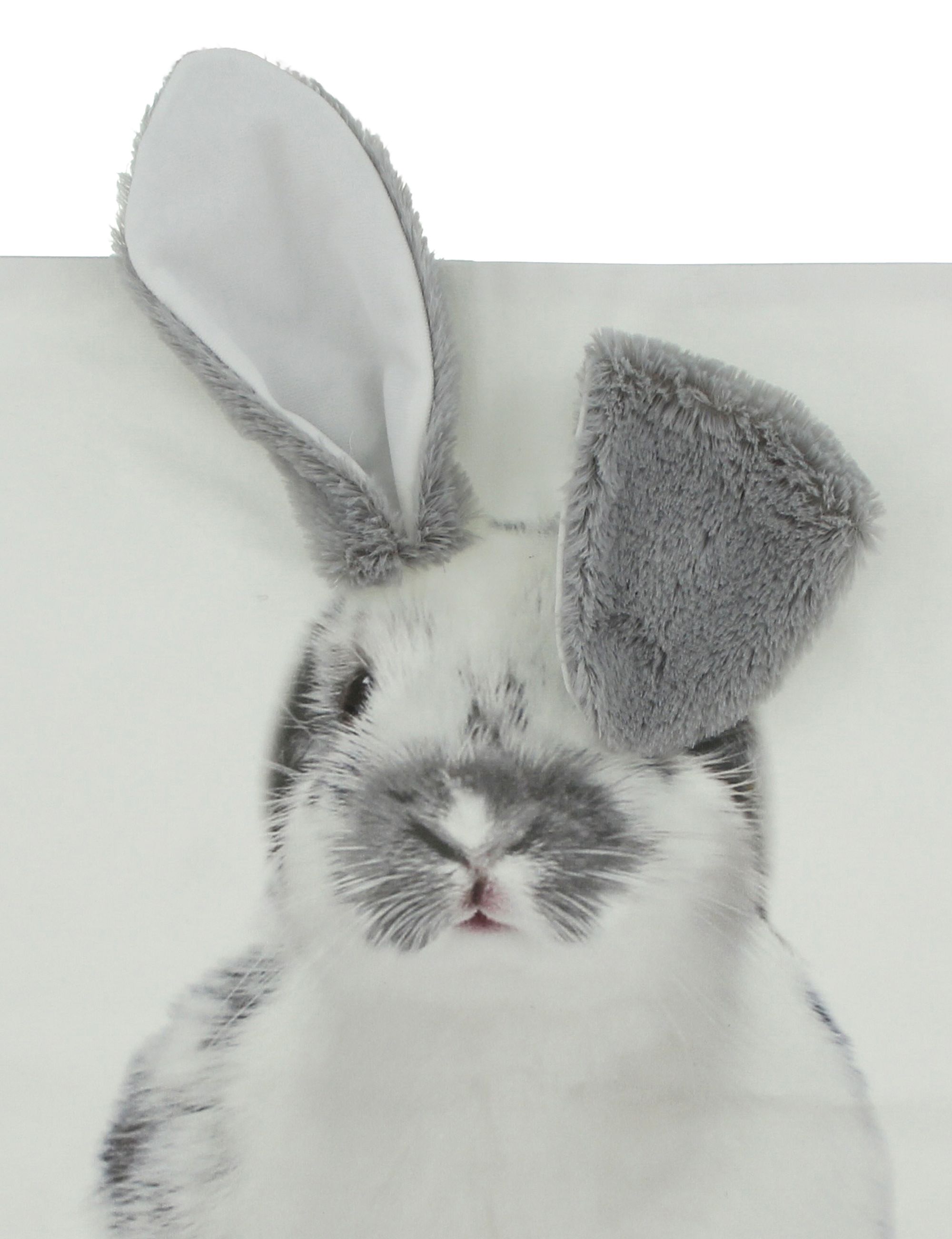 Acheter Housse de coussin "oreilles de lapin"  dans la boutique en ligne de Frank Flechtwaren pour Pâques