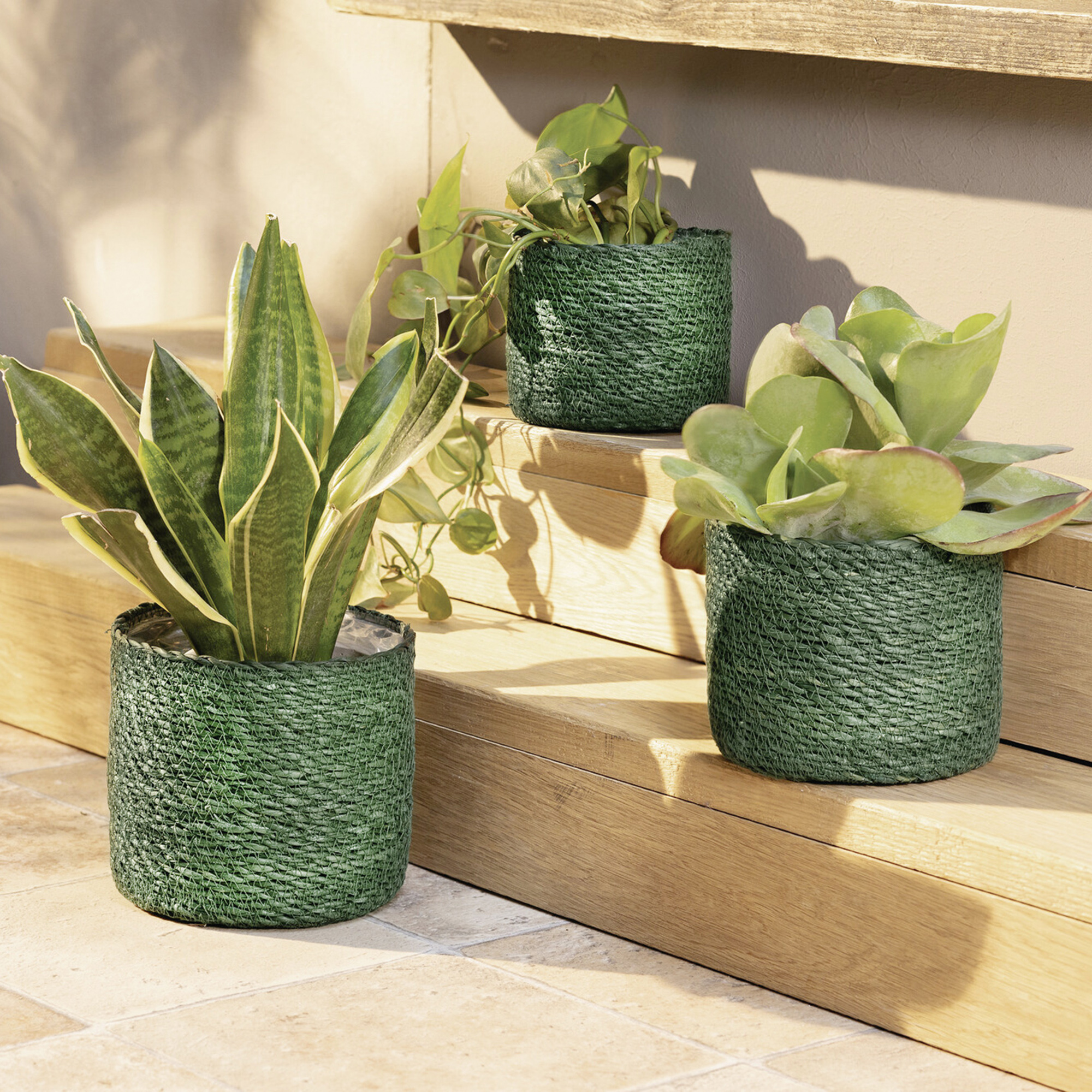 Acheter Lot de 3 jardinières "Green"  dans la boutique en ligne de Frank Flechtwaren