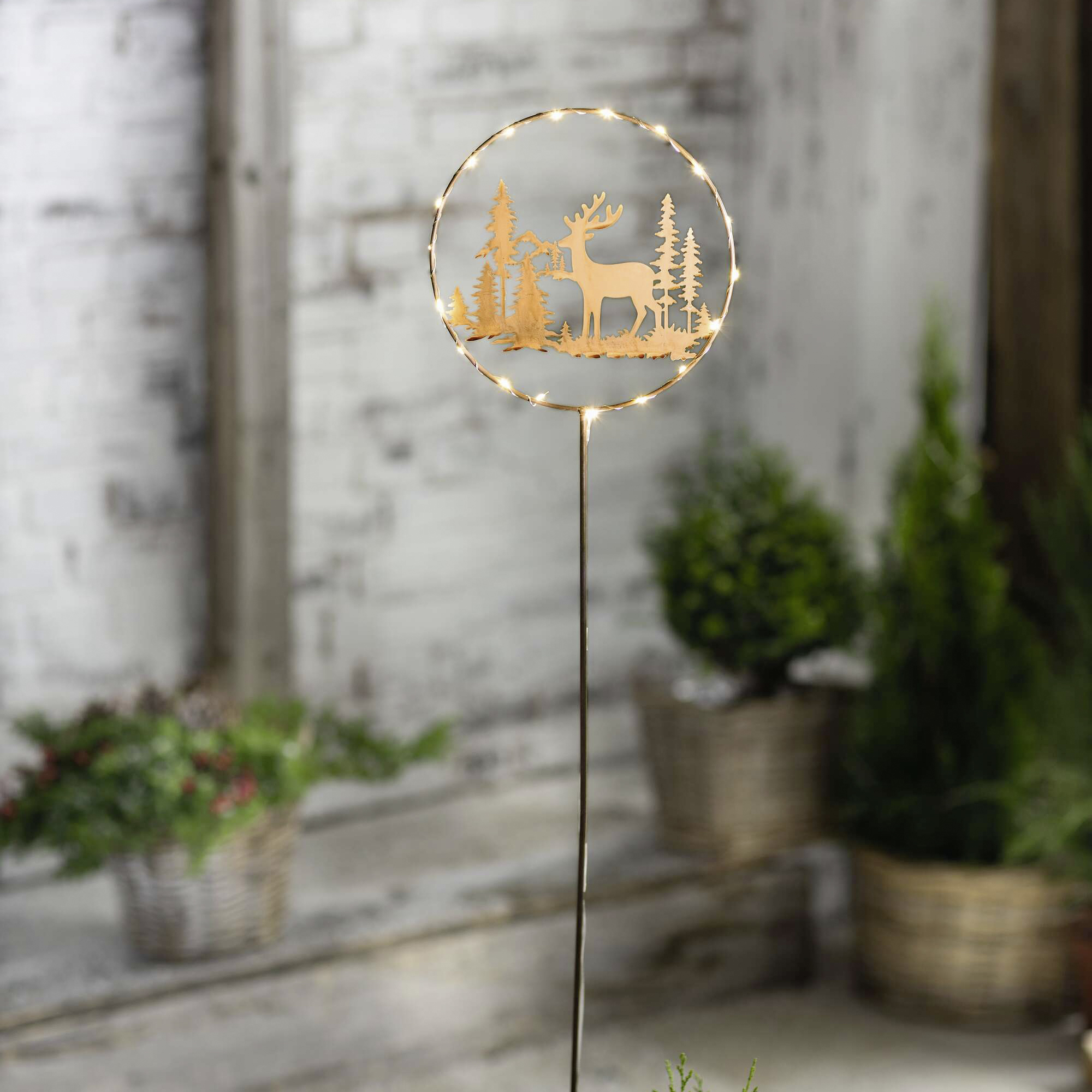 Acheter Pic LED "renne dans la forêt"  dans la boutique en ligne de Frank Flechtwaren