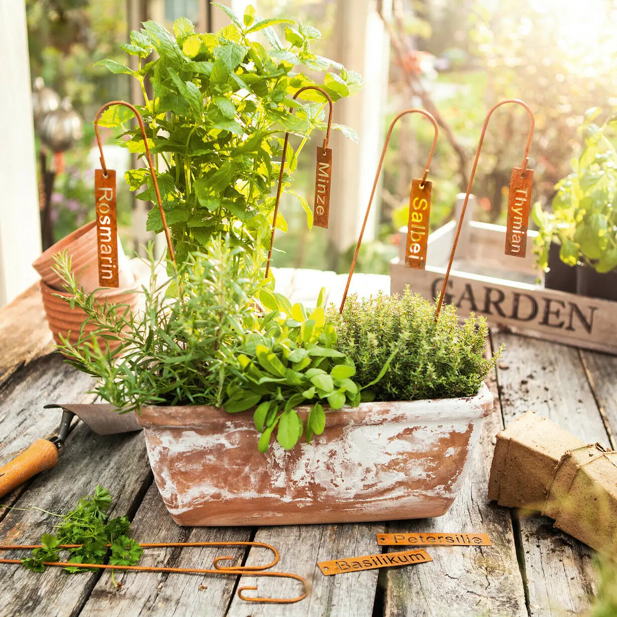 Acheter Lot de 6 marqueurs pour plantes "herbes" dans la boutique en ligne de Frank Flechtwaren pour Pics de jardin Acheter Lot de 6 marqueurs pour plantes "herbes" dans la boutique en ligne de Frank Flechtwaren pour Pics de jardin