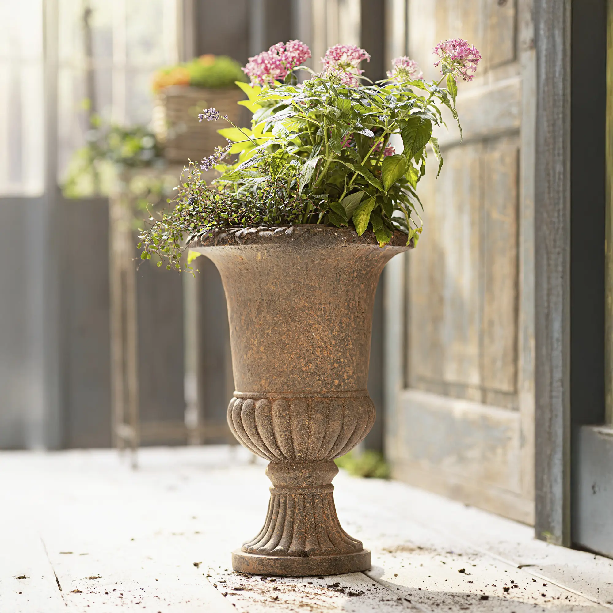 Acheter Jardinière "amphore rustique"  dans la boutique en ligne de Frank Flechtwaren