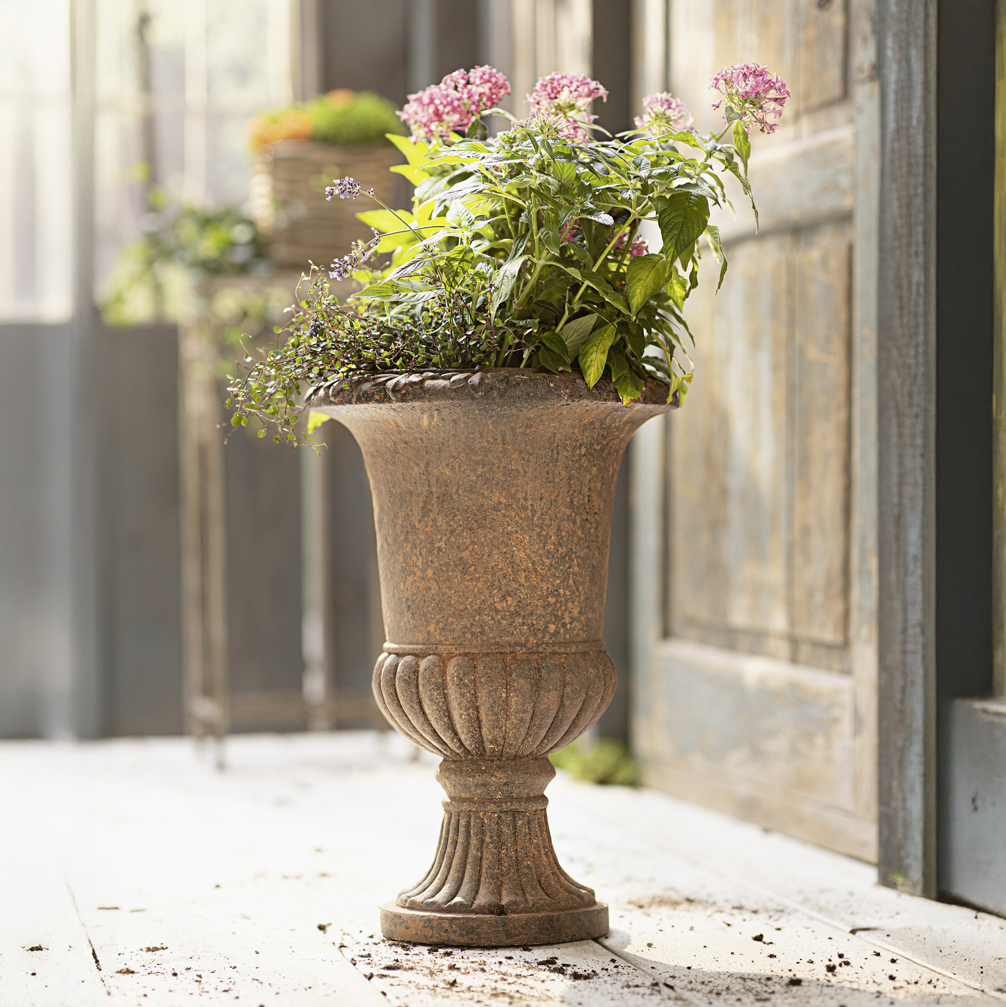 Acheter Jardinière "amphore rustique"  dans la boutique en ligne de Frank Flechtwaren