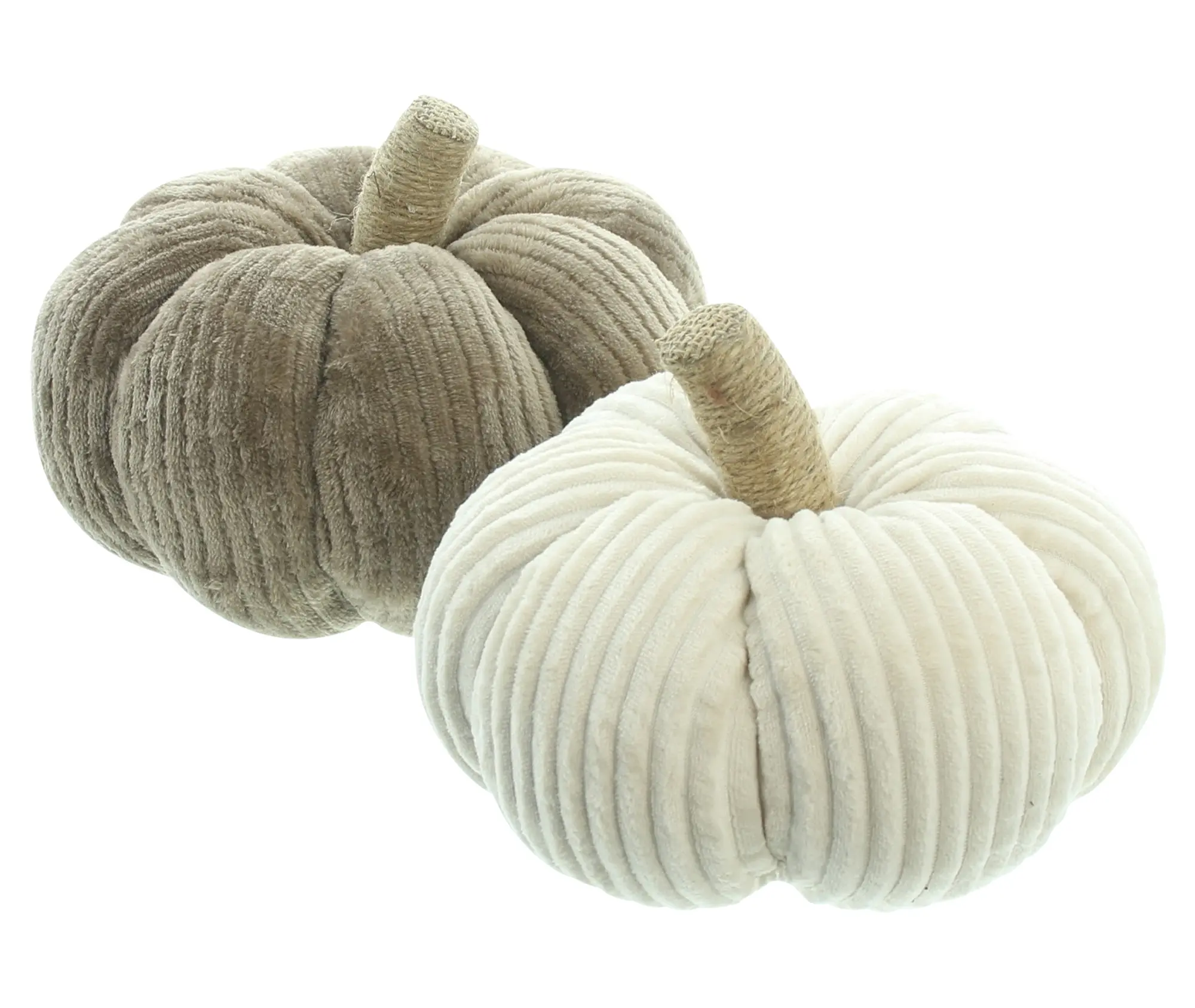 Acheter Lot de 2 citrouilles "velours côtelé"  dans la boutique en ligne de Frank Flechtwaren pour Citrouilles