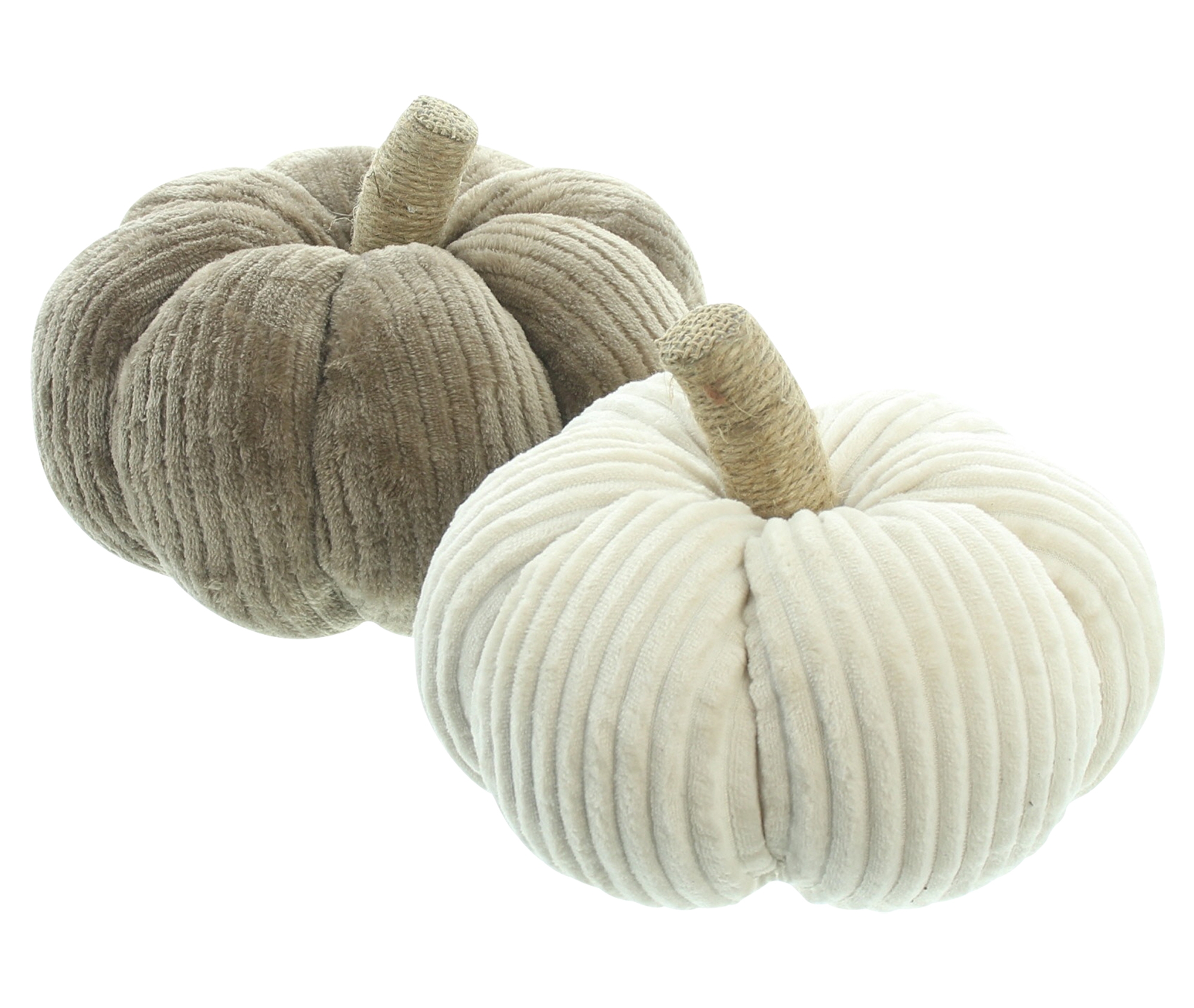 Acheter Lot de 2 citrouilles "velours côtelé"  dans la boutique en ligne de Frank Flechtwaren pour Série titre automne/hiver