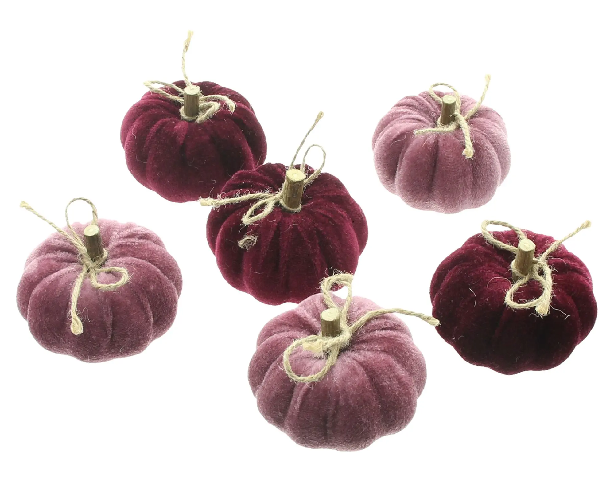 Acheter Citrouilles « Purple Mix », 6 lot de dans la boutique en ligne de Frank Flechtwaren pour Citrouilles