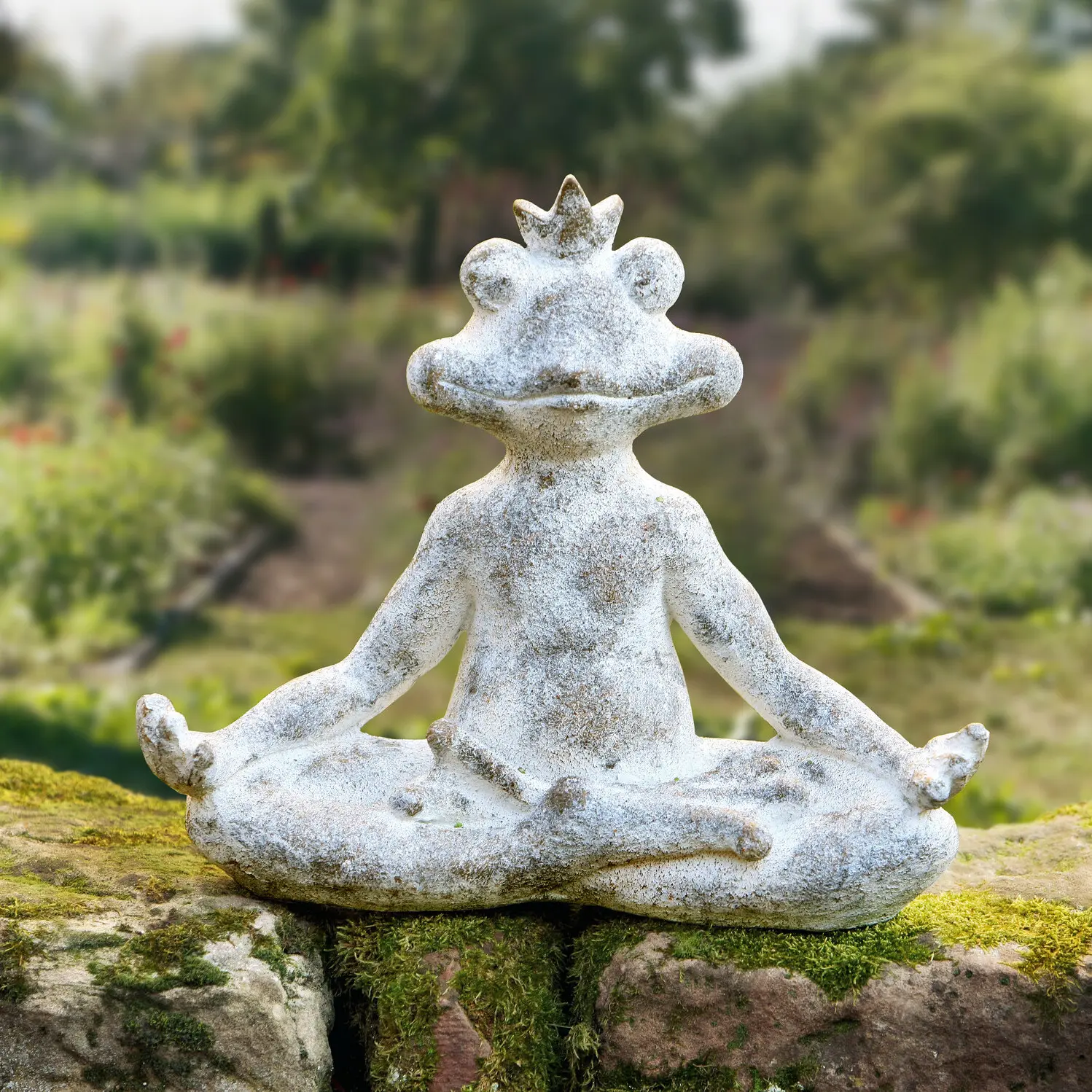 Acheter Grenouille "relax"  dans la boutique en ligne de Frank Flechtwaren