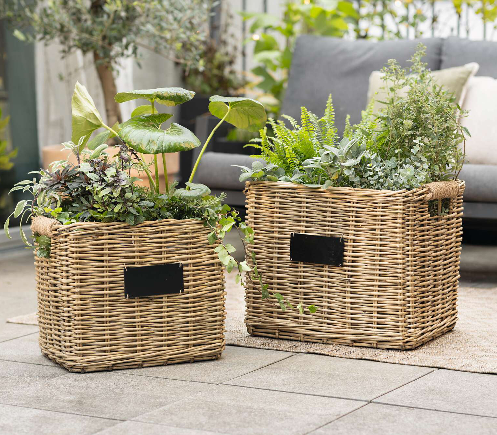 Acheter Lot de 2 paniers à plantes "osier chic"  dans la boutique en ligne de Frank Flechtwaren