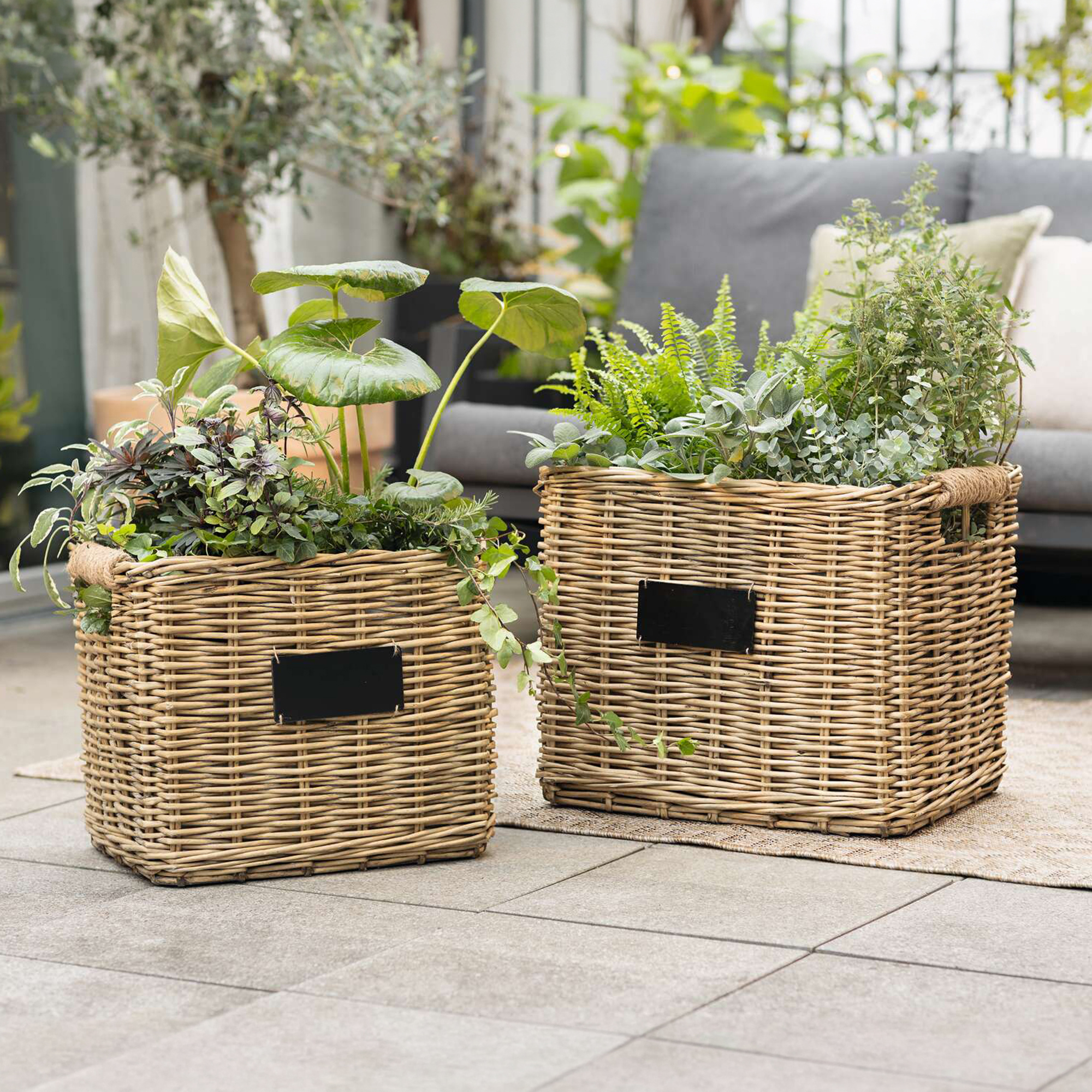 Acheter Lot de 2 paniers à plantes "osier chic"  dans la boutique en ligne de Frank Flechtwaren