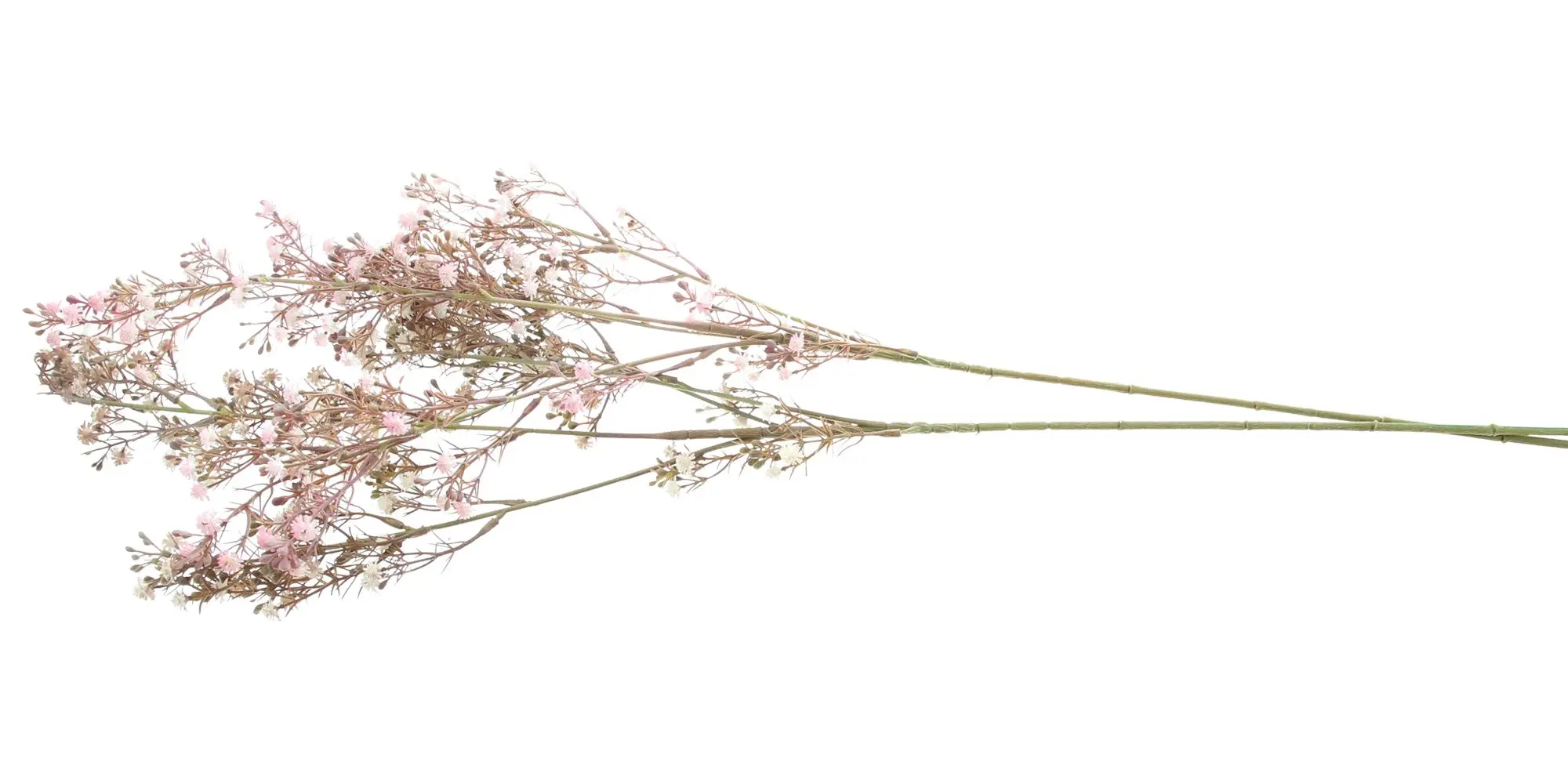 Acheter Lot de 2 plantes artificielles "Gypsophile" dans la boutique en ligne de Frank Flechtwaren pour Plantes artificielles Acheter Lot de 2 plantes artificielles "Gypsophile" dans la boutique en ligne de Frank Flechtwaren pour Plantes artificielles
