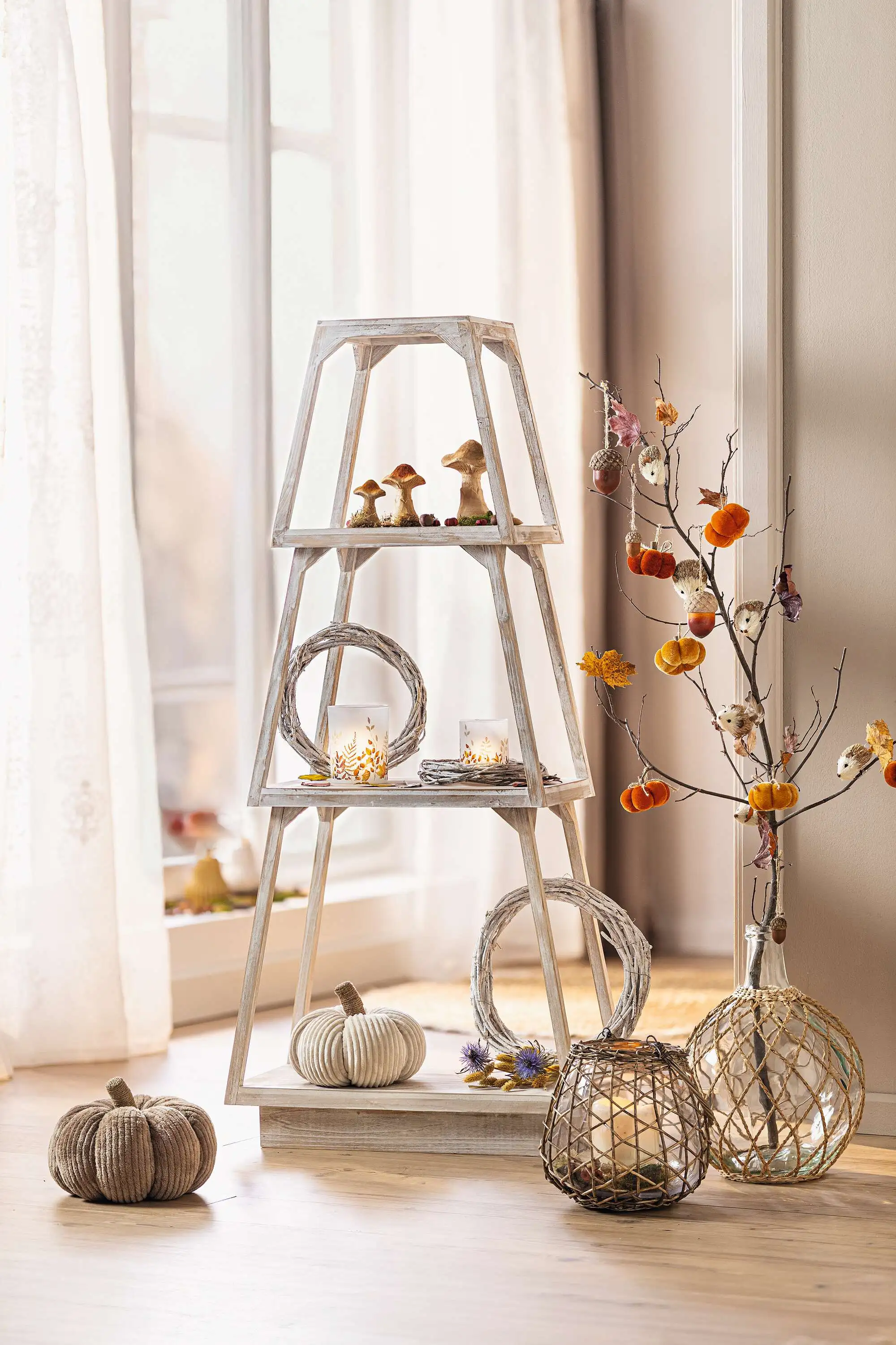 Acheter Lot de 2 limignons "automne" dans la boutique en ligne de Frank Flechtwaren pour Lanternes Acheter Lot de 2 limignons "automne" dans la boutique en ligne de Frank Flechtwaren pour Lanternes