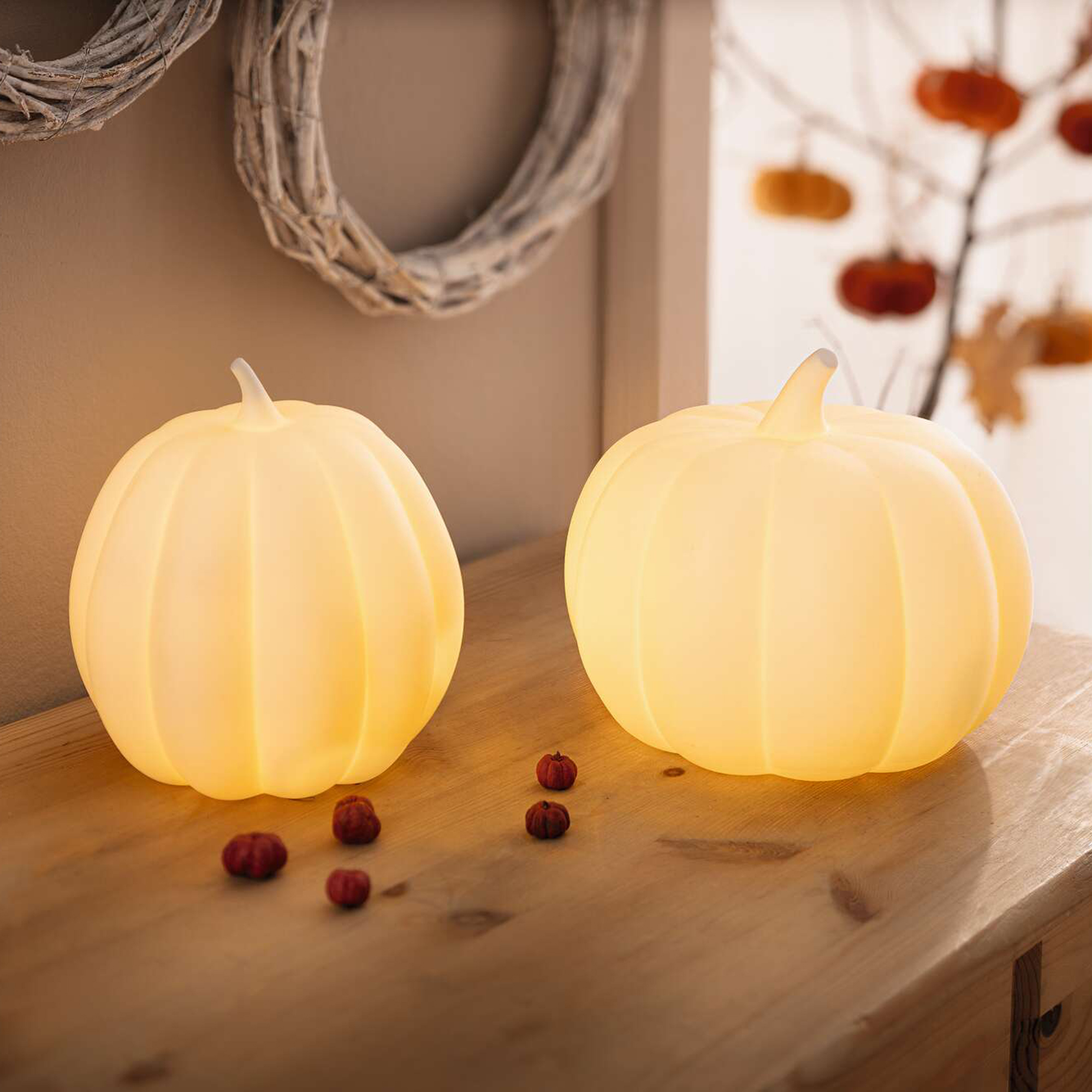 Acheter Lot de 2 citrouilles "White"  dans la boutique en ligne de Frank Flechtwaren