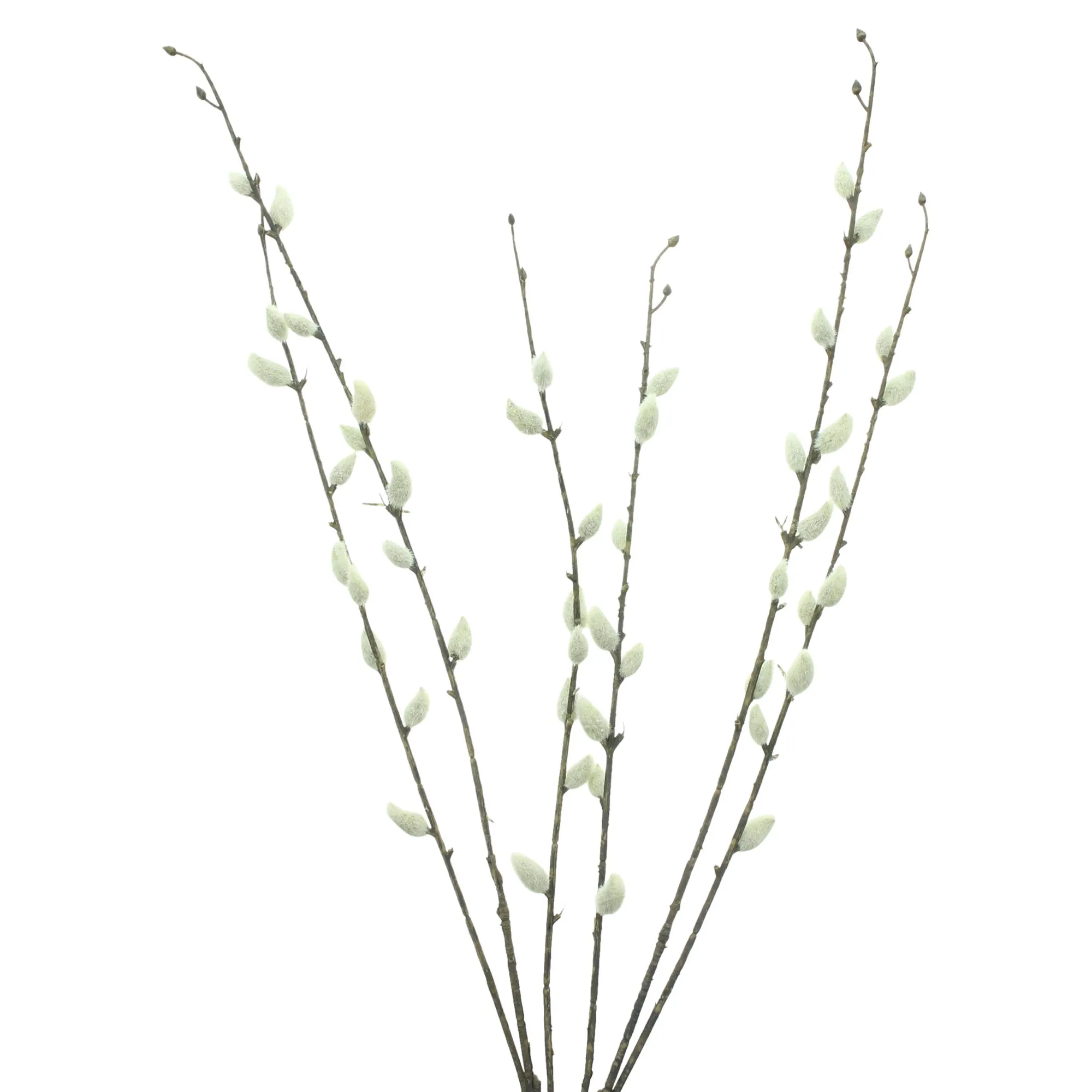 Acheter Lot de 2 branches décoratives "chaton"  dans la boutique en ligne de Frank Flechtwaren pour Charme champêtre