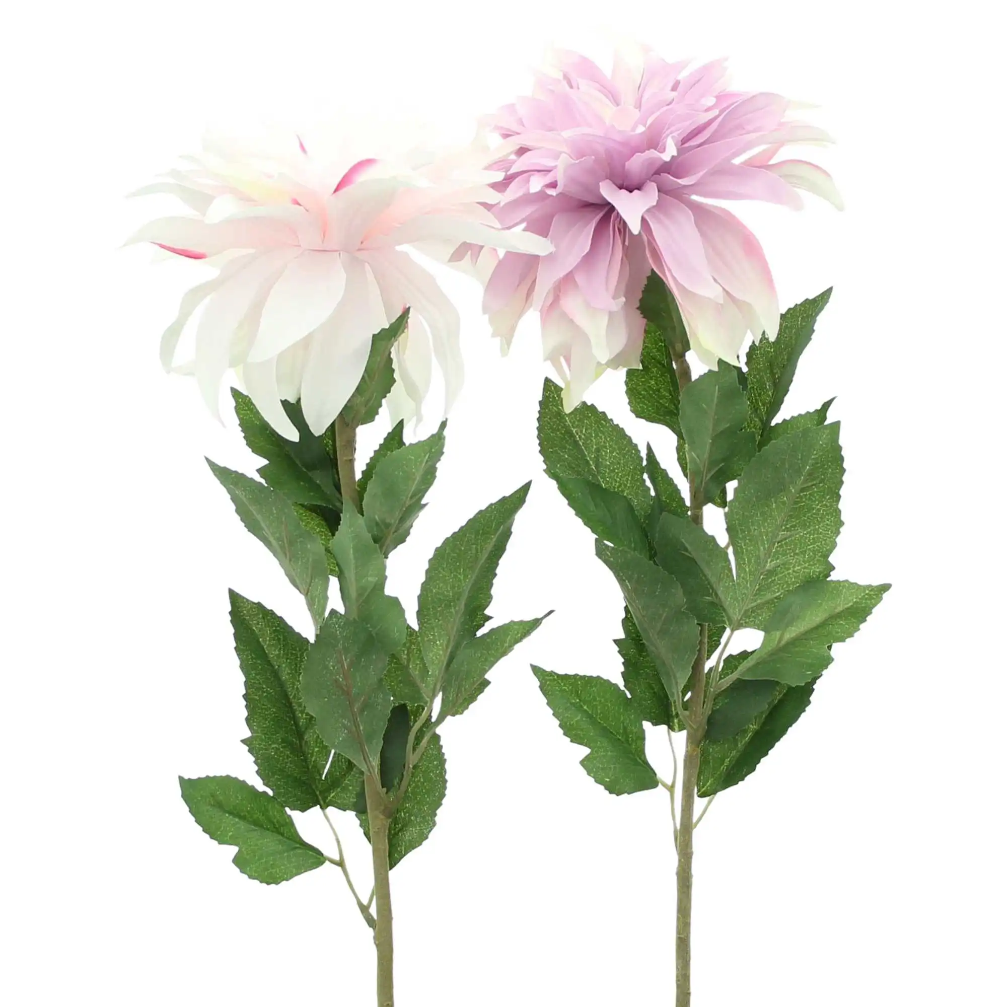 Acheter Lot de 2 fleurs "dahlia orchidée" dans la boutique en ligne de Frank Flechtwaren pour Plantes artificielles Acheter Lot de 2 fleurs "dahlia orchidée" dans la boutique en ligne de Frank Flechtwaren pour Plantes artificielles