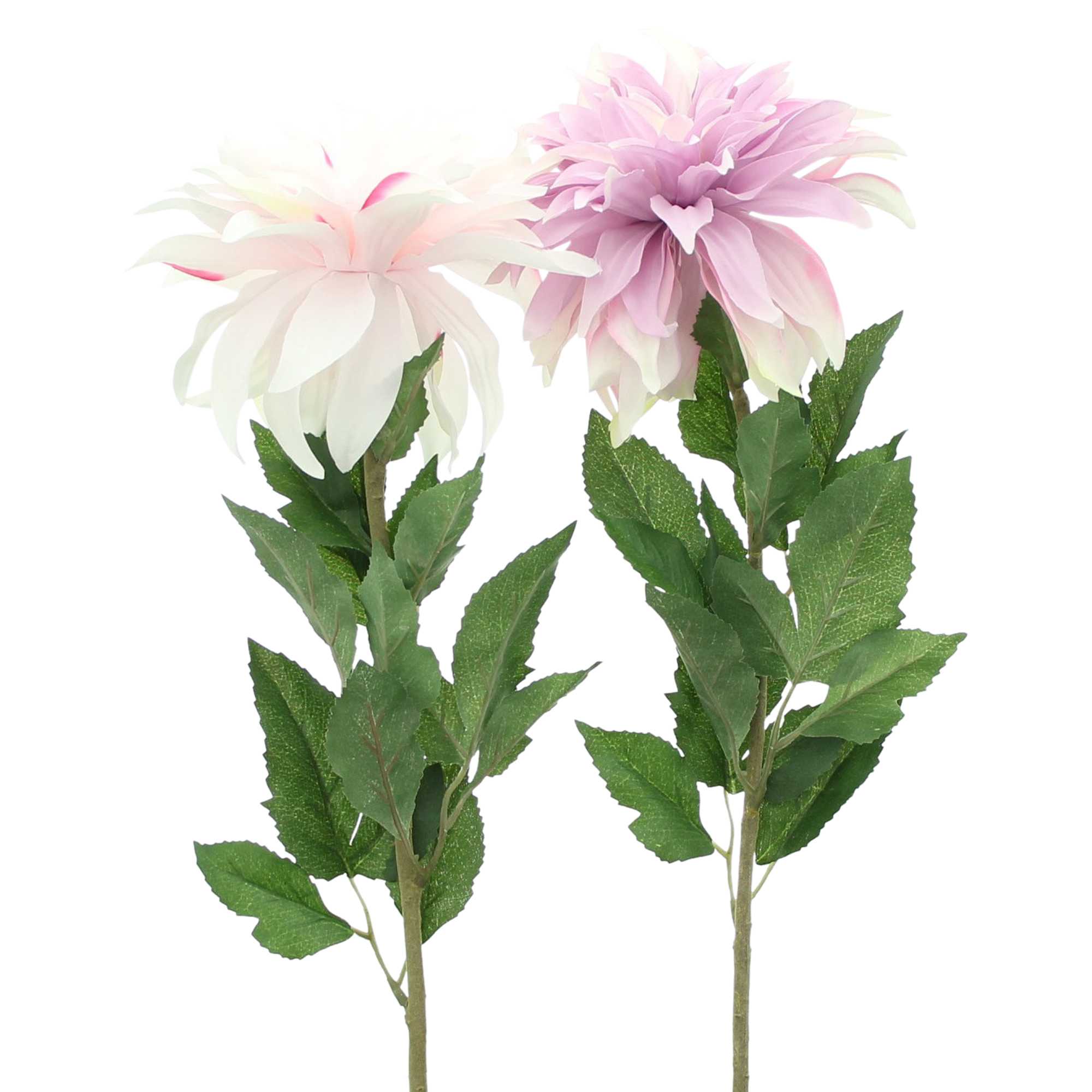 Acheter Lot de 2 fleurs "dahlia orchidée"  dans la boutique en ligne de Frank Flechtwaren pour Plantes artificielles